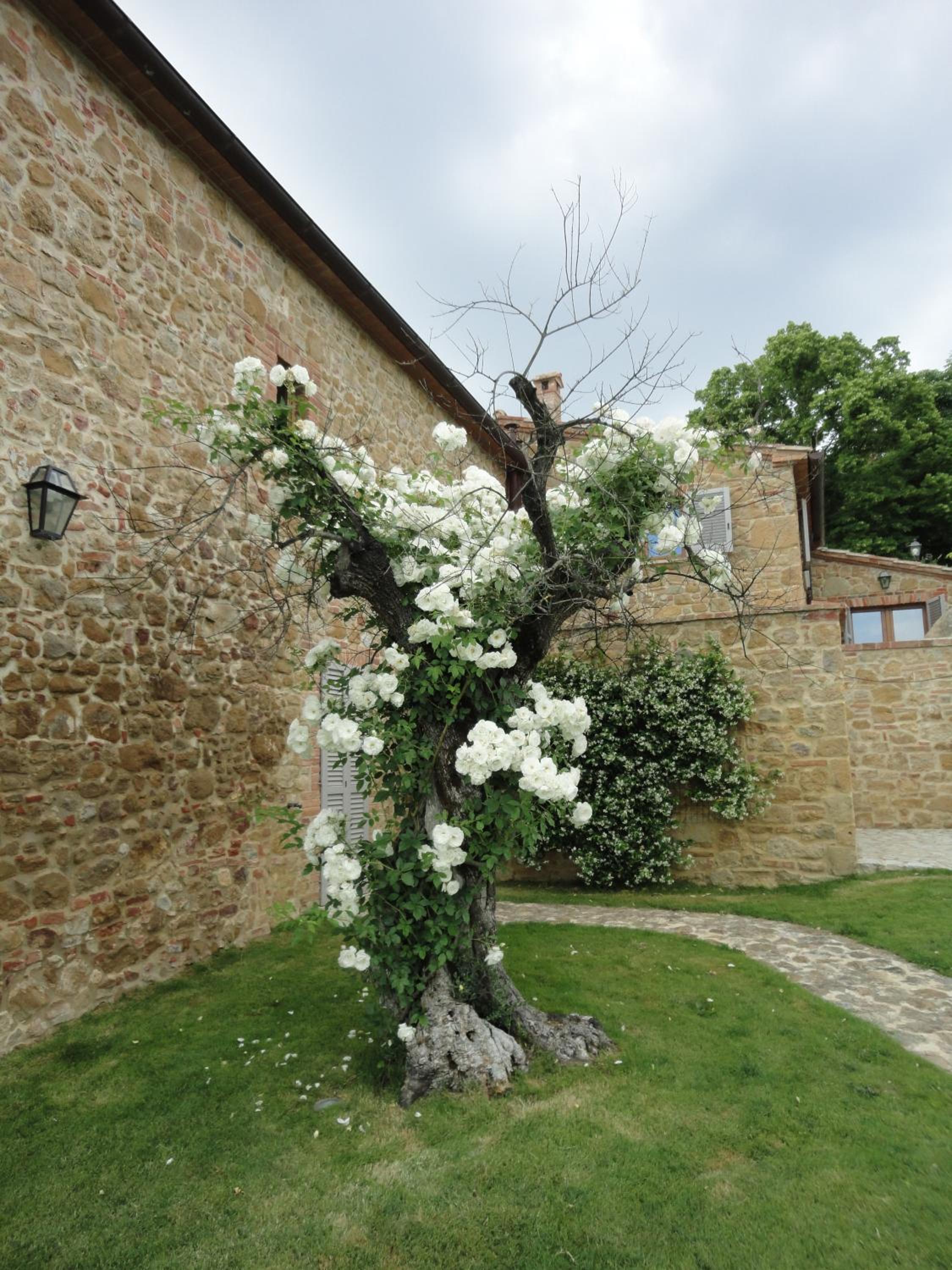 Borgo Sant'Ambrogio - Resort