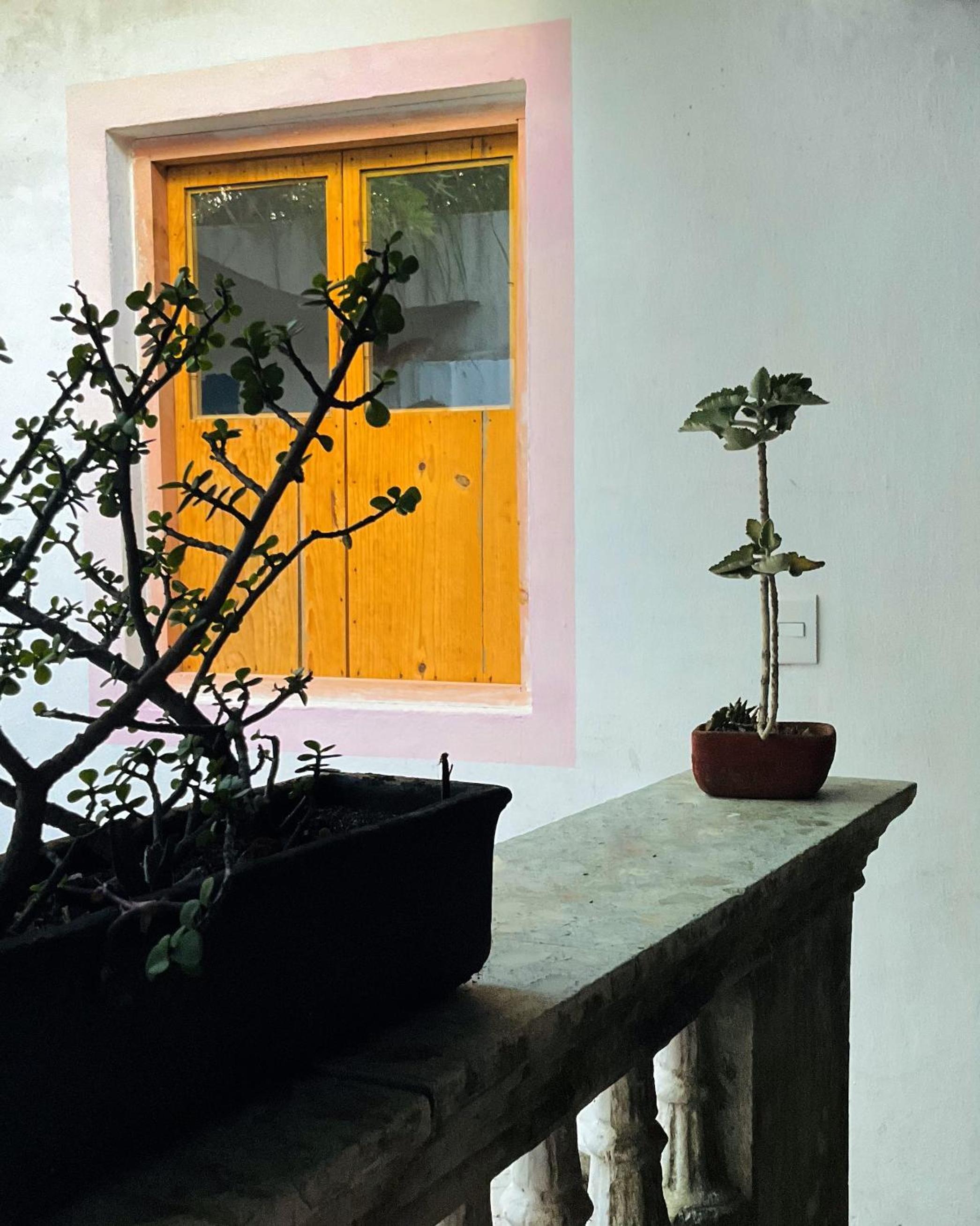 Casa La Escondida Tlacotalpan