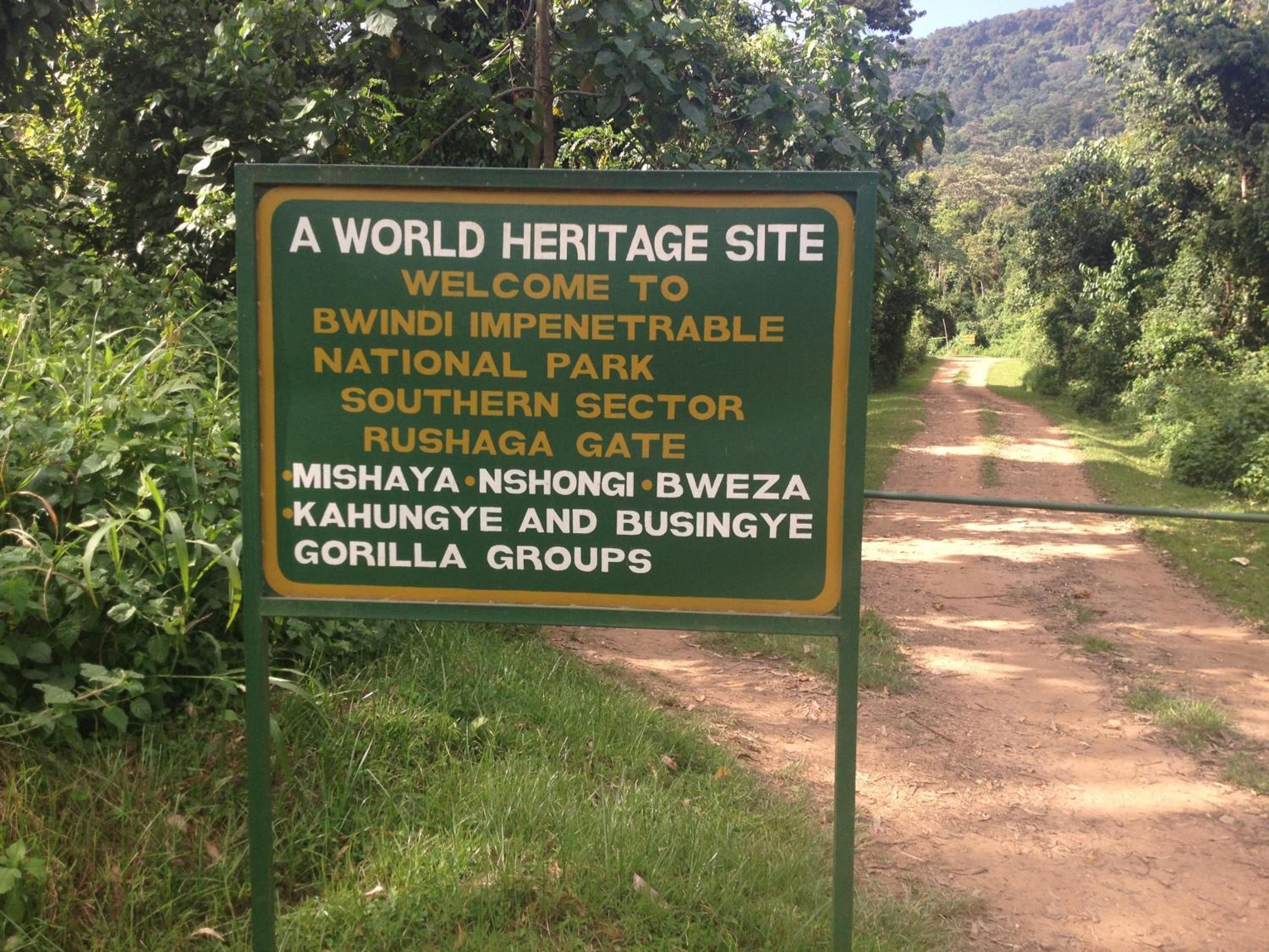 Rushaga Gorilla Lodge