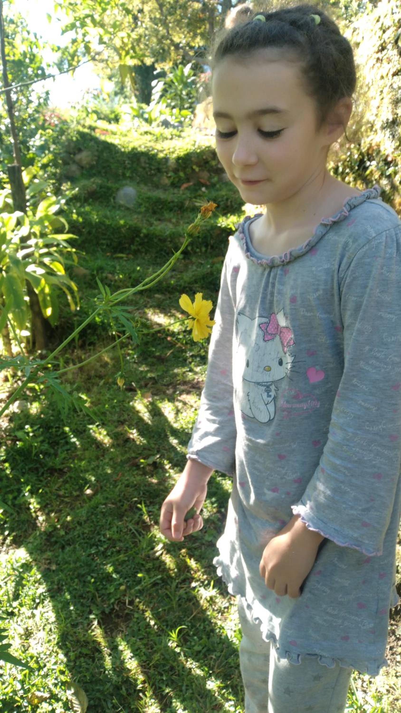 Photo 28