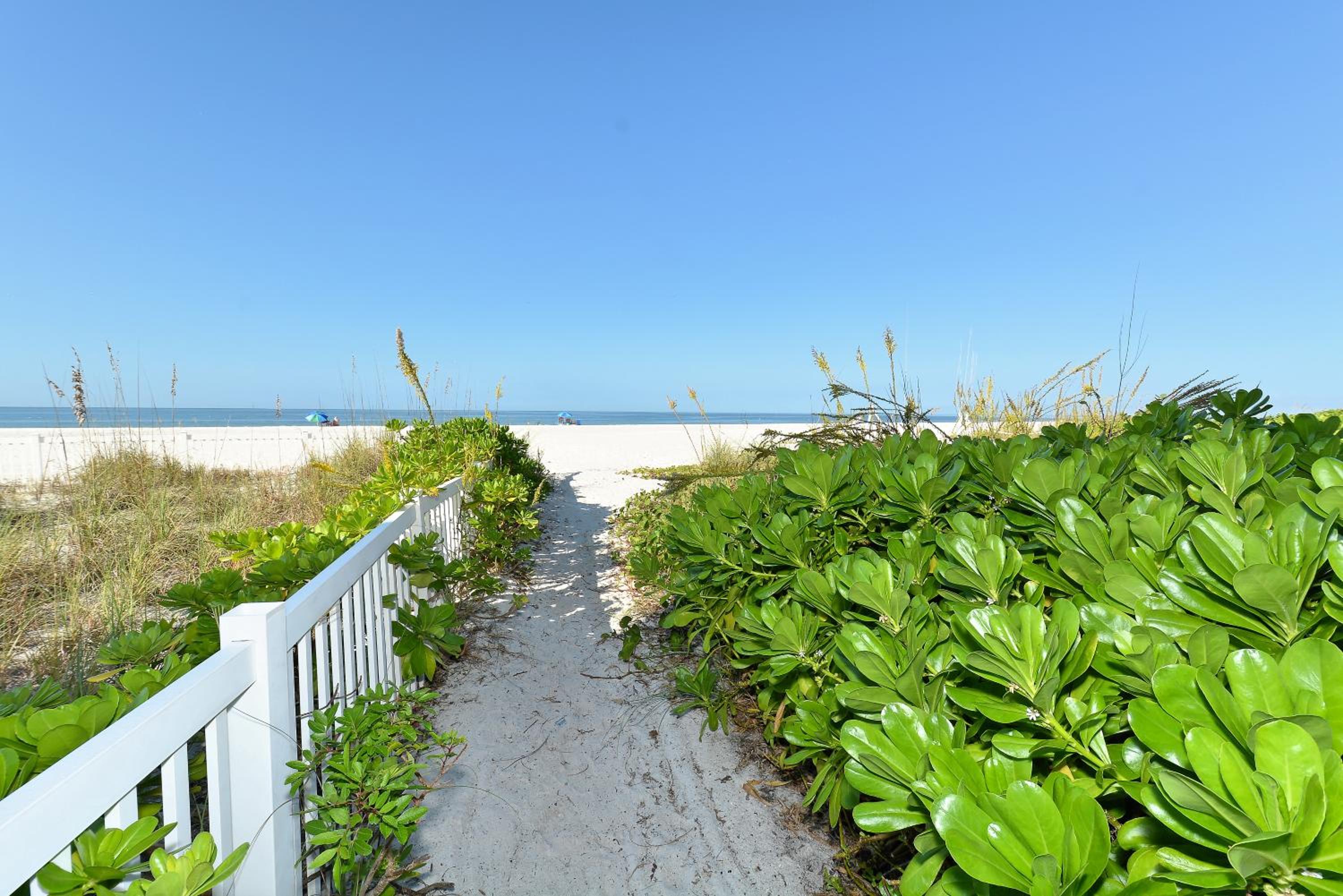 Anna Maria Island Runaway Tropical Dream-One Minute Walk To The Beach-Heated Pool view 3