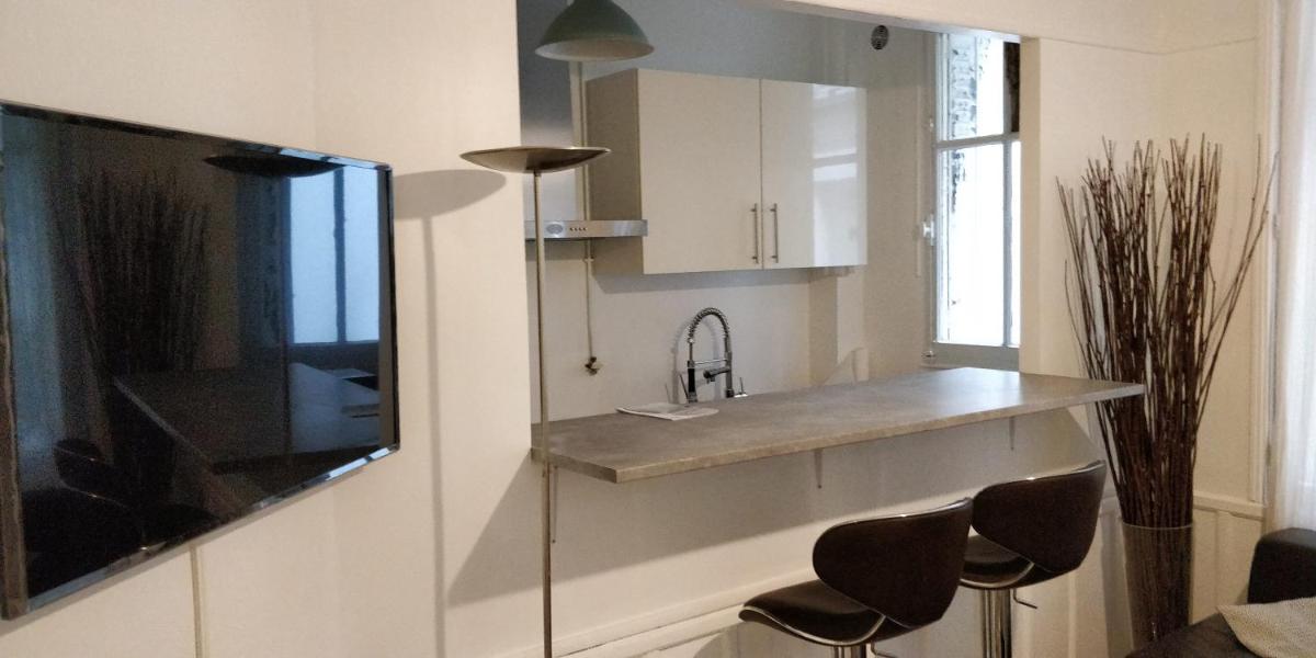 Nice and cozy 1b apartment in the heart of Paris