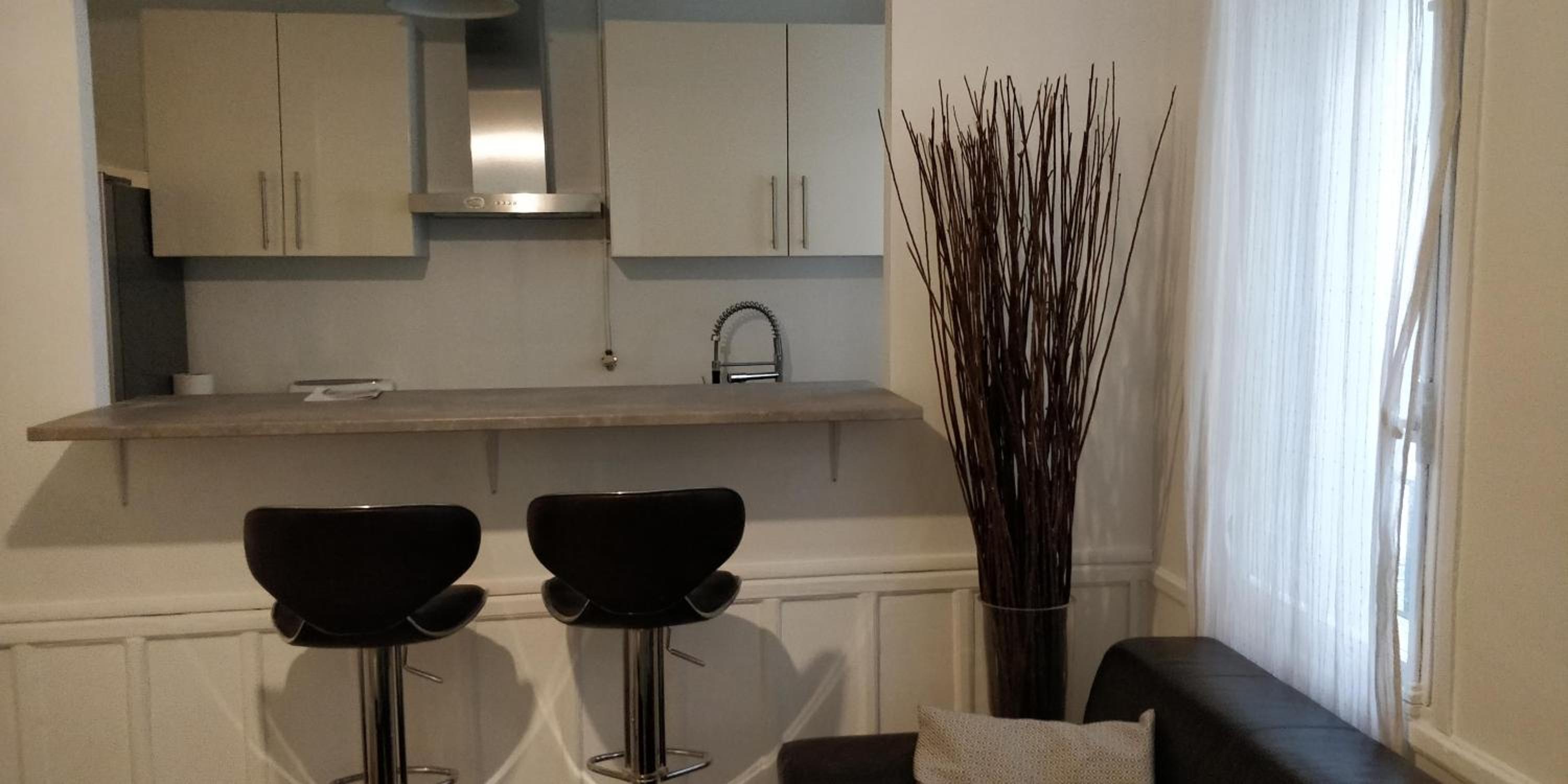 Nice and cozy 1b apartment in the heart of Paris