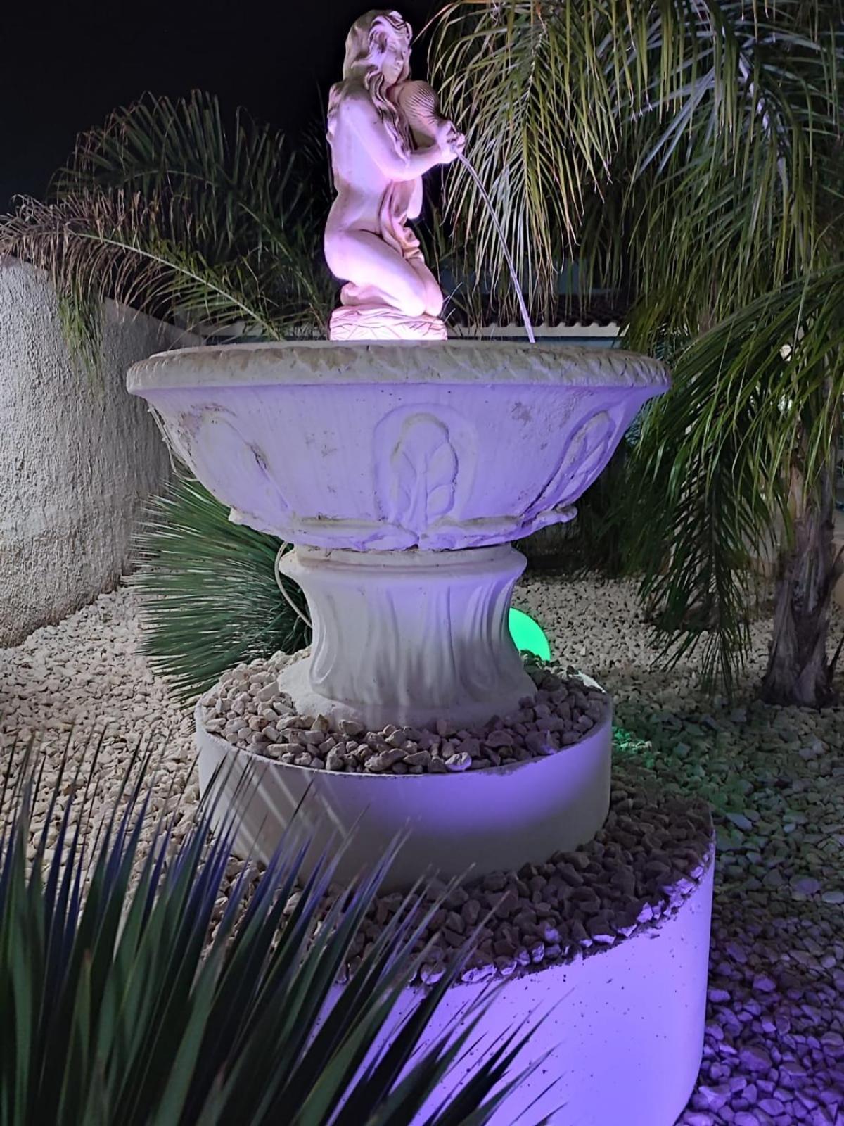 Photo 31