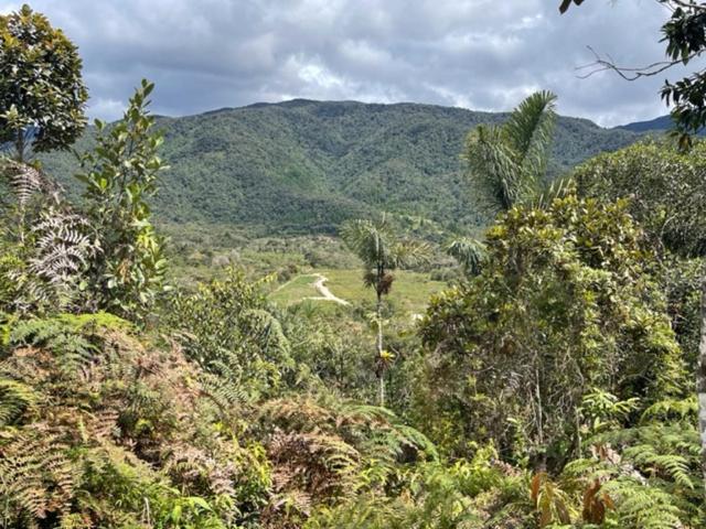 Camona Ecolodge