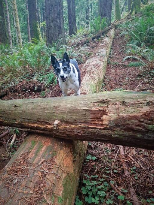 other