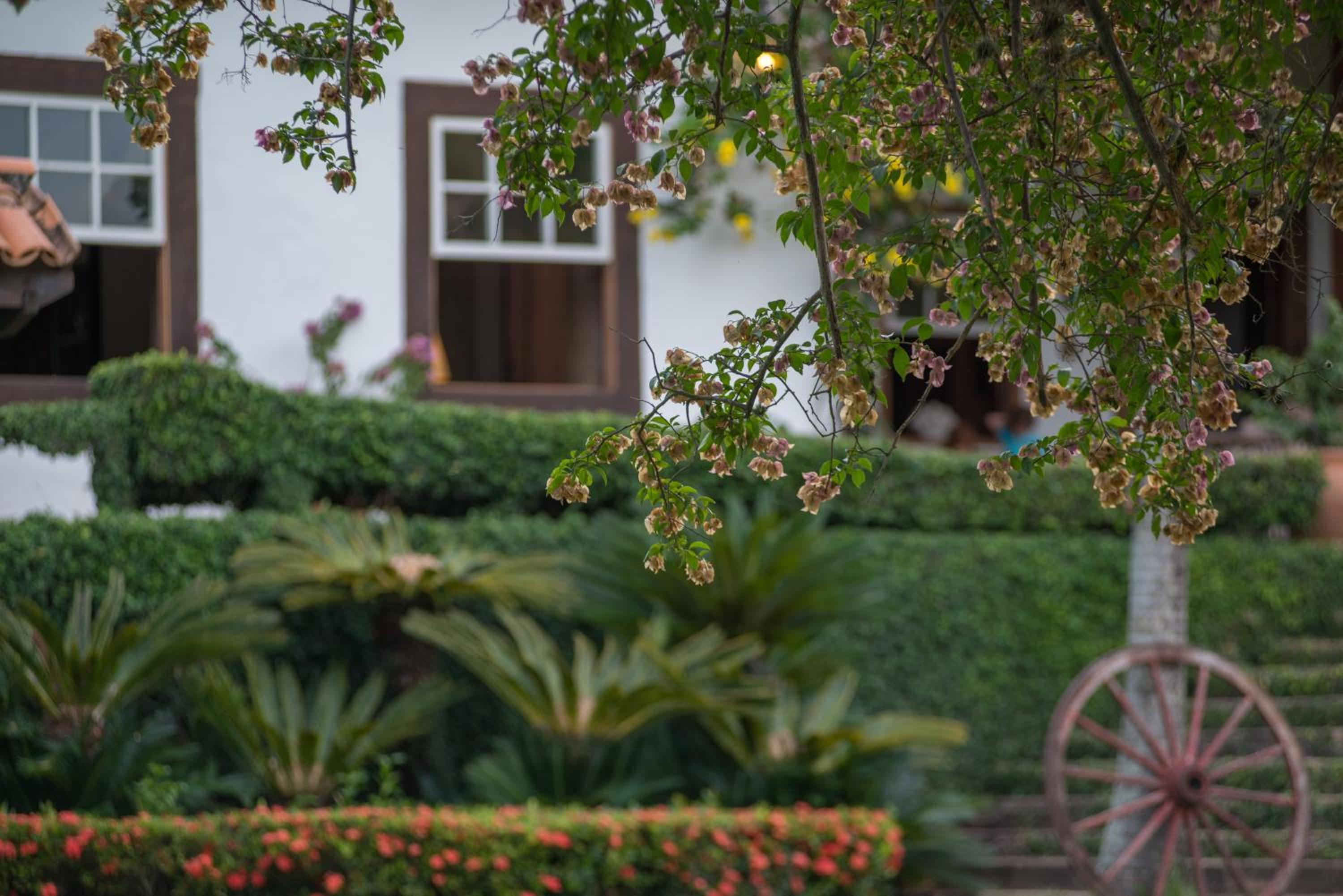 Fazenda Capoava