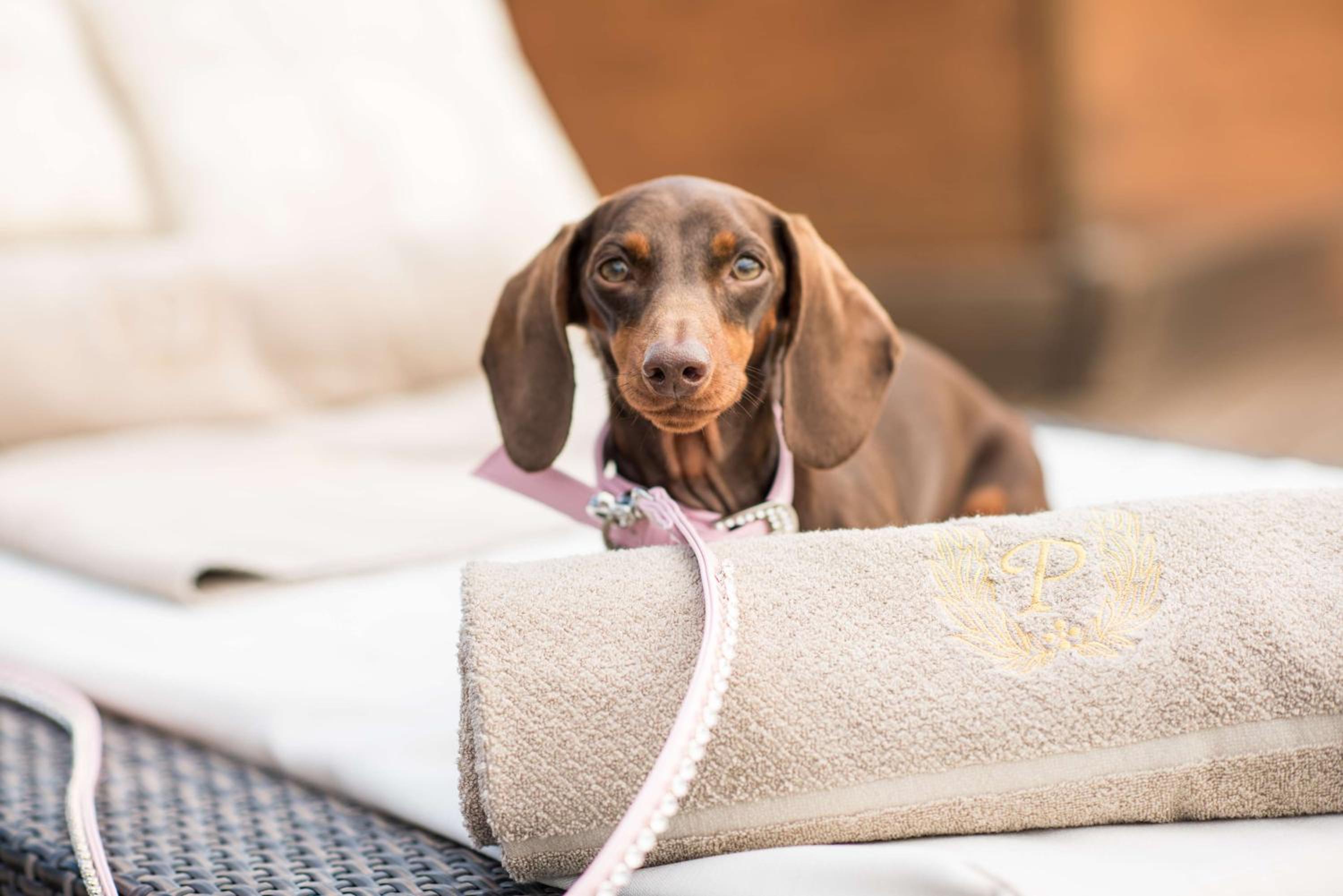 Rome Cavalieri, A Waldorf Astoria Hotel - Image 5