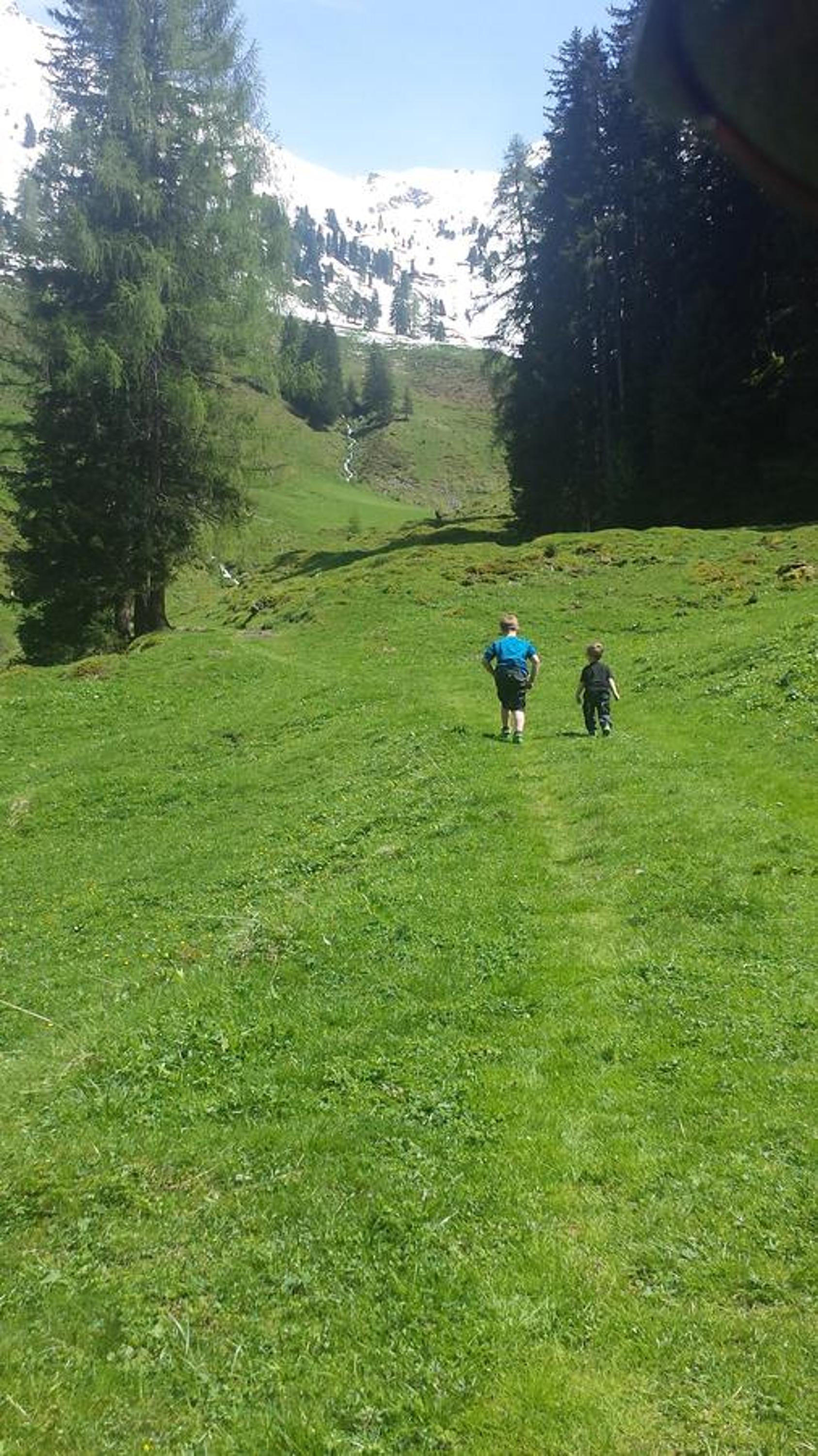 Hanslerfeld