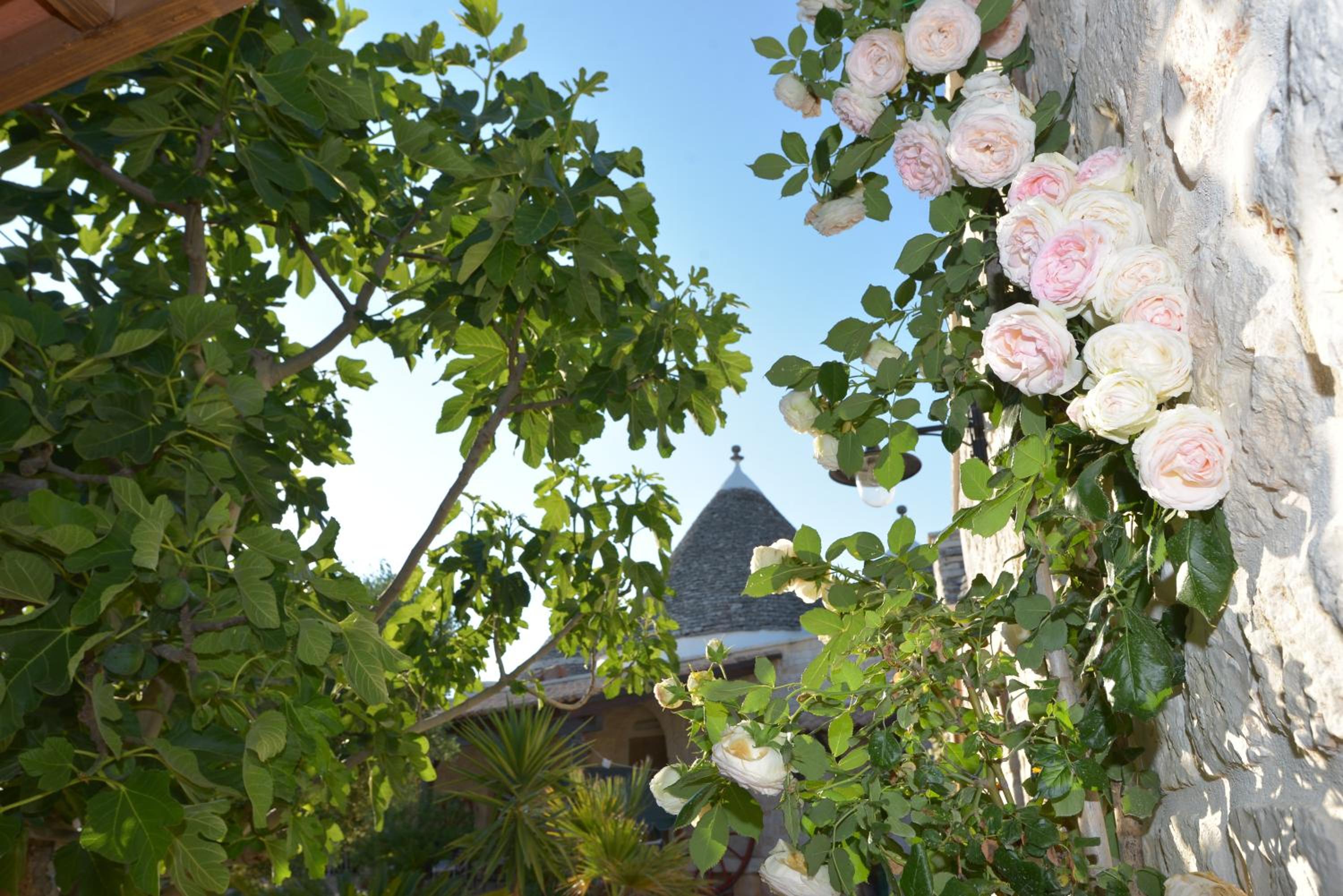 Masseria Pentima Vetrana Resort