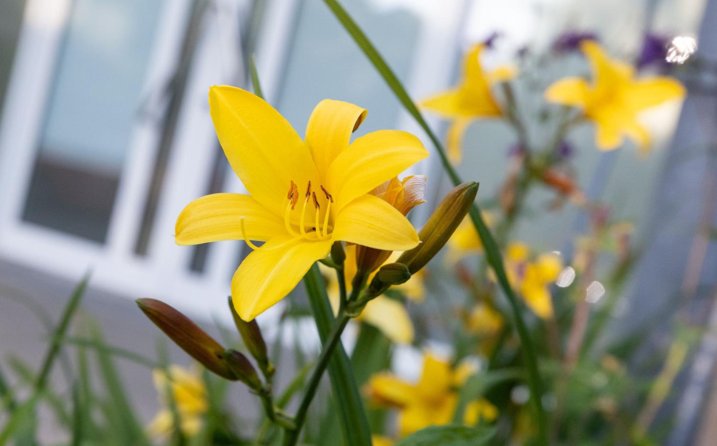 Dresden Vacations - Studioatelier in Ubigau - Property Image 15