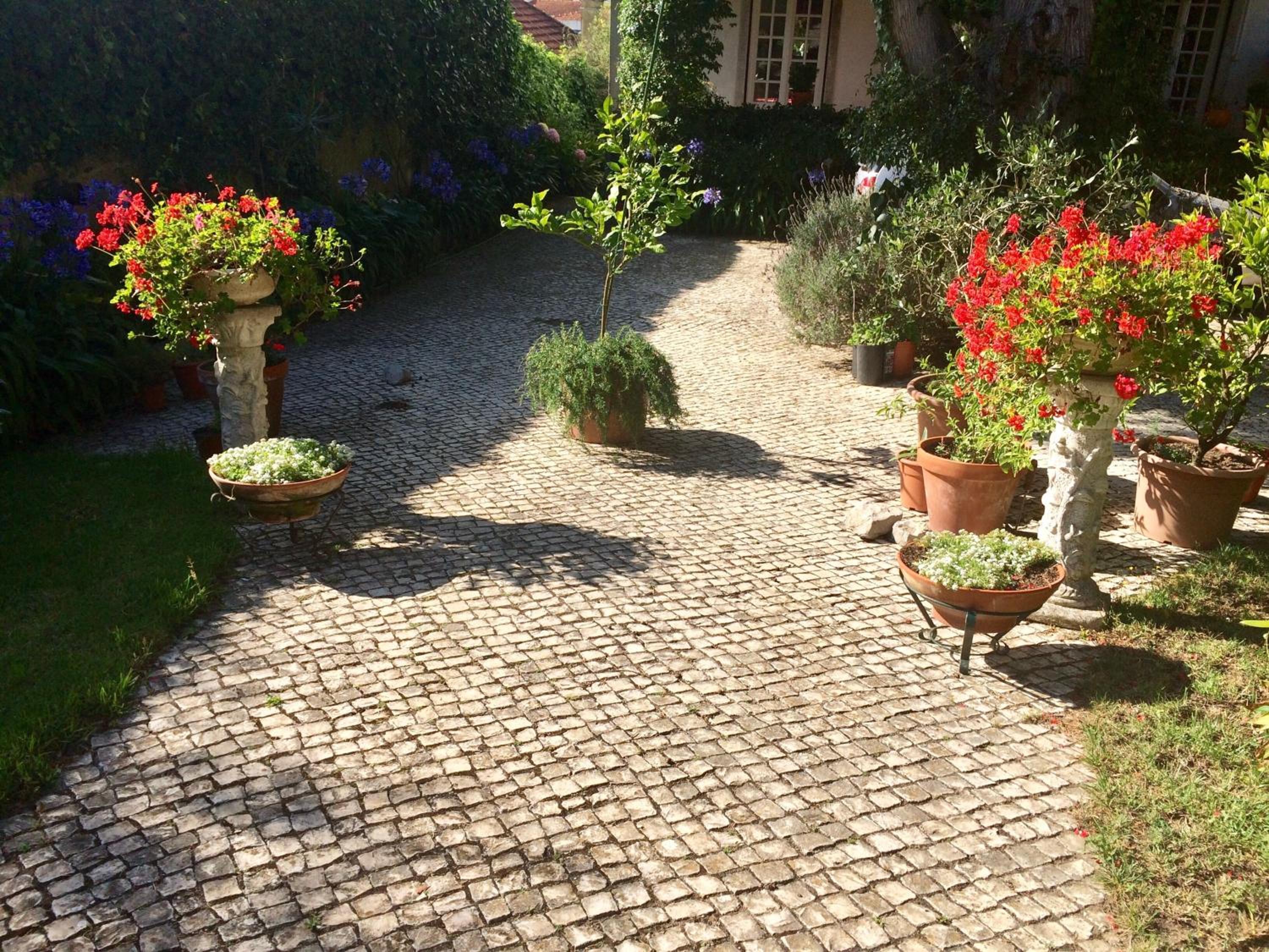 Villa Branca Jacinta
