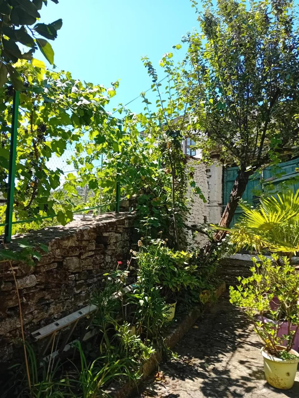 Stone Pazar Guest House