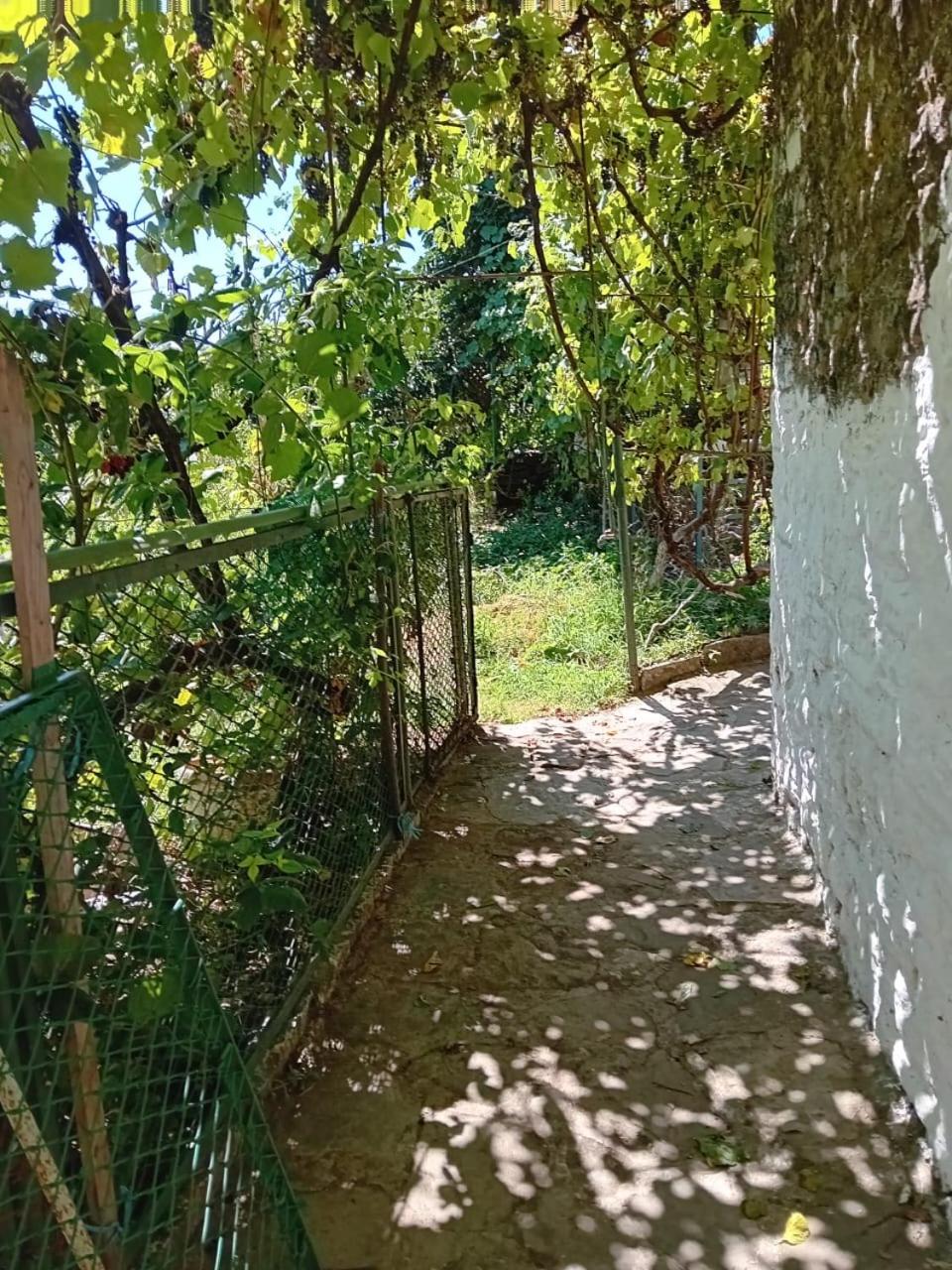Stone Pazar Guest House