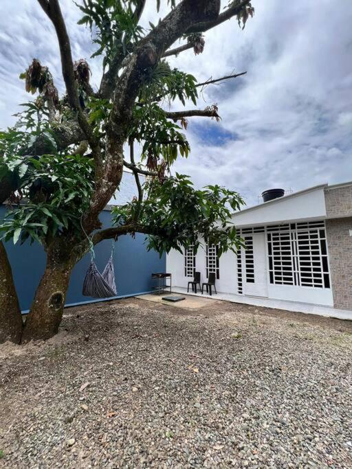 Home Acacias - Property Image 1