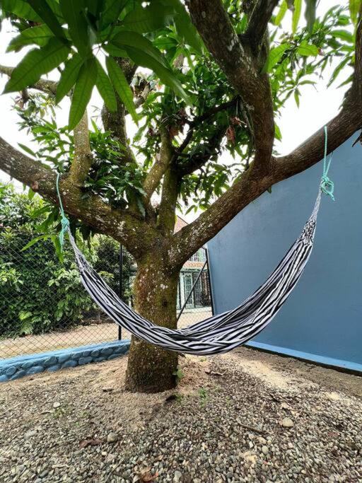 Home Acacias - Property Image 2