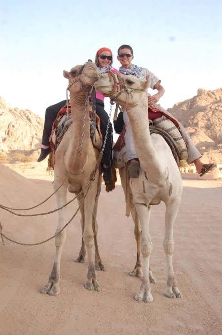 West aswan