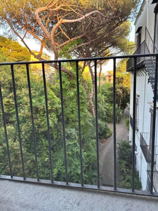 Mediterraneo Apartment