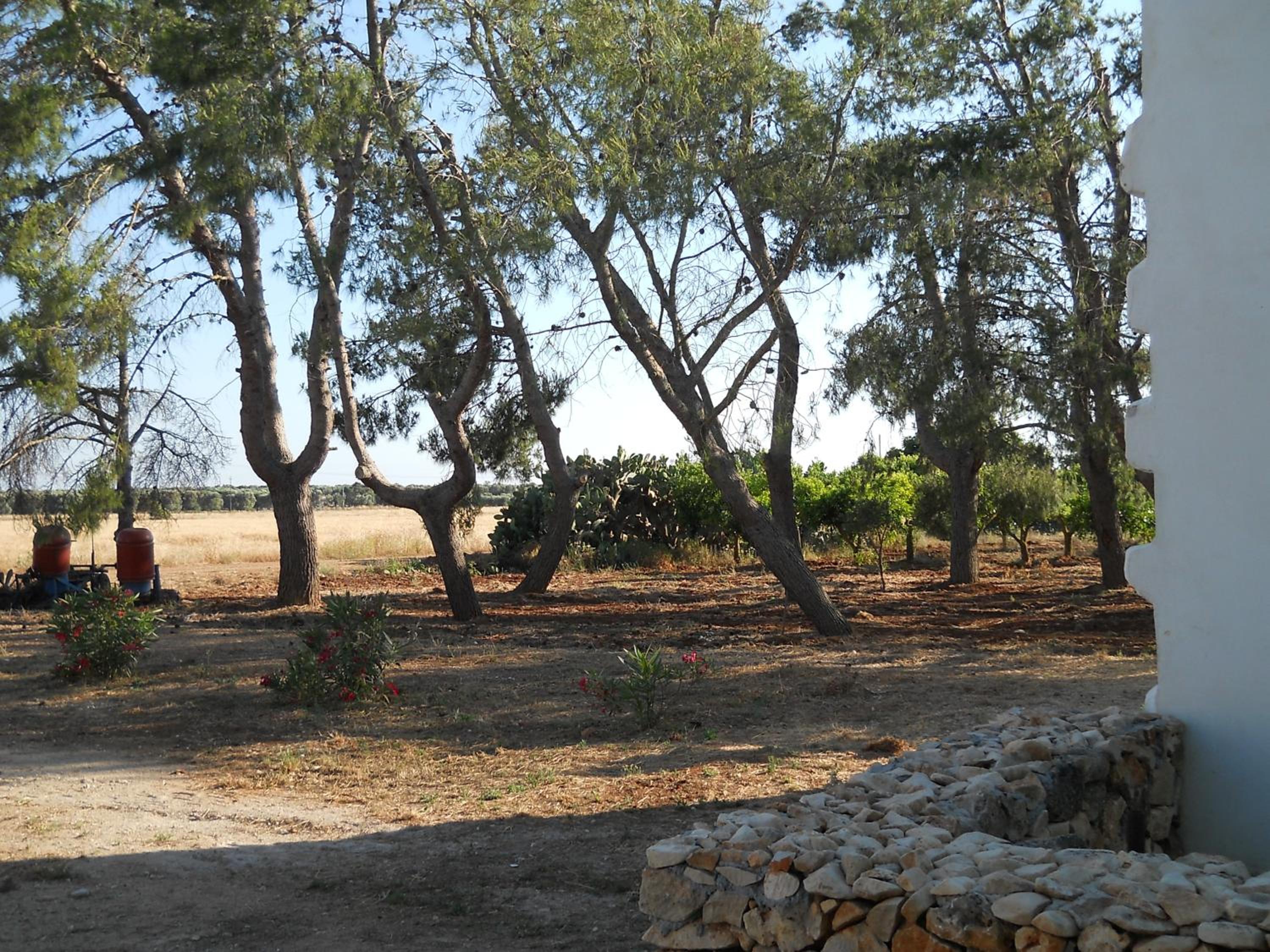 Agriturismo Tenuta Perruzzi