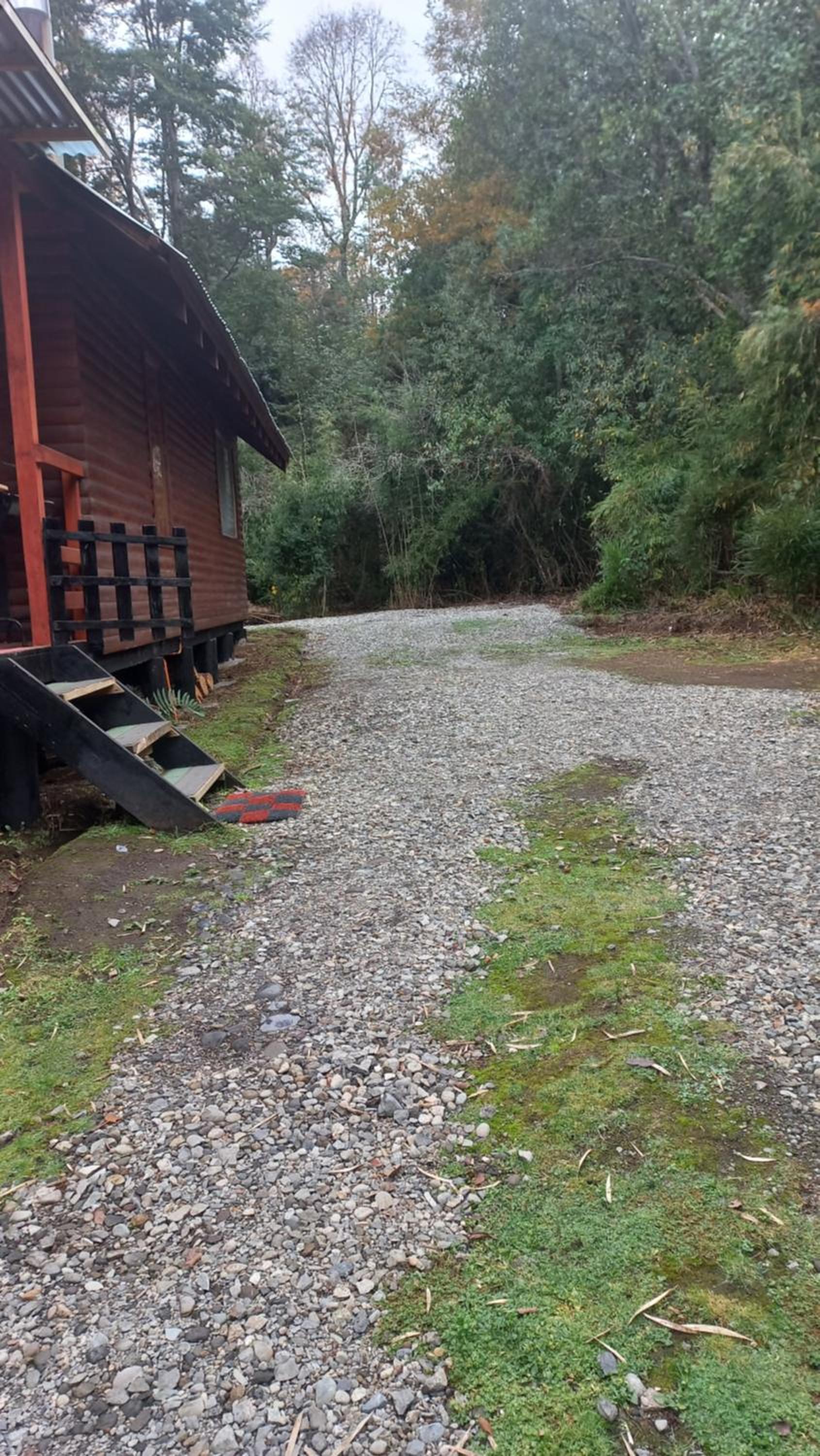 Agradable Cabaña inserta en bosque nativo