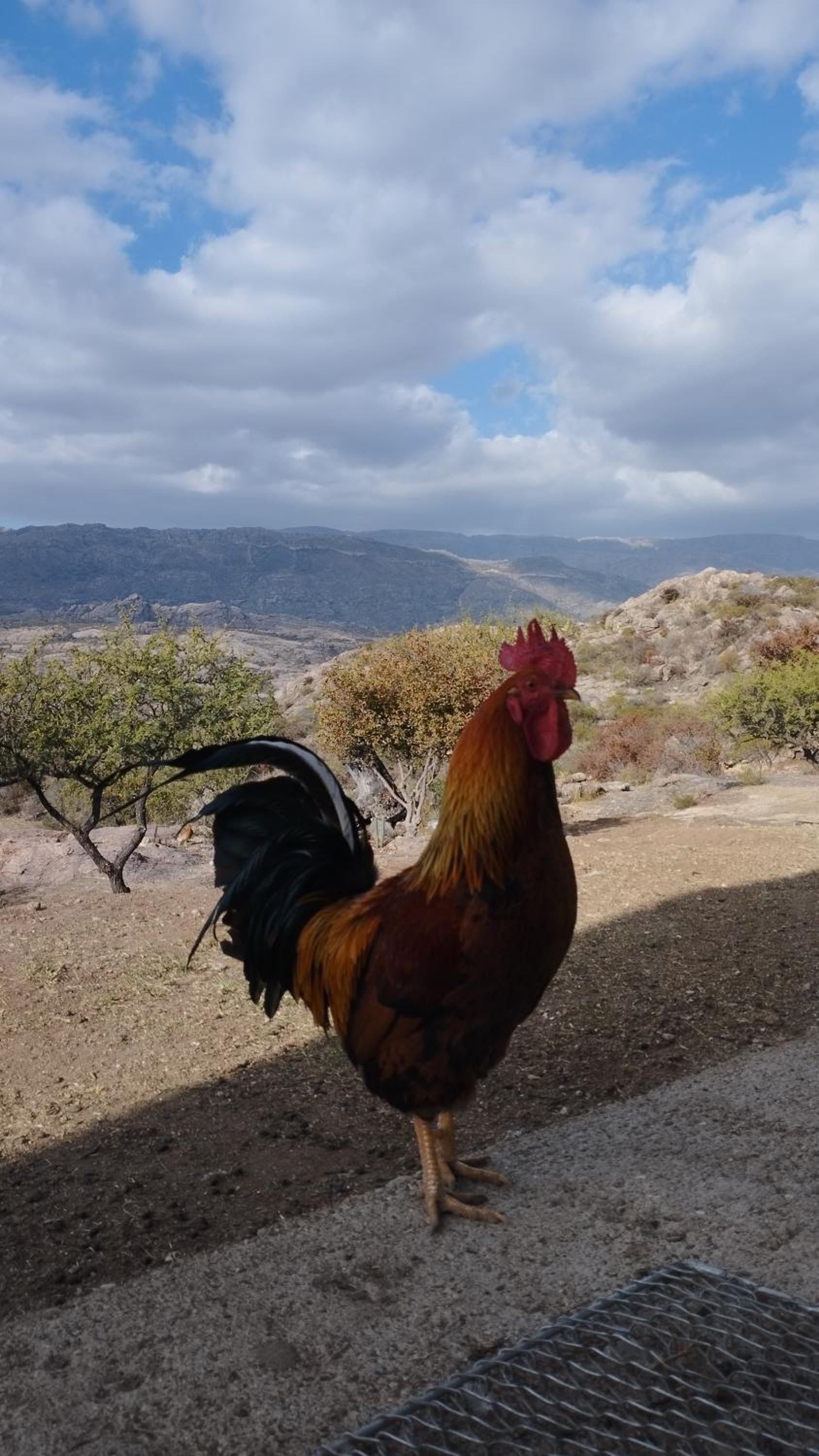 Hermosa Cabaña El Nogalito Mina Clavero