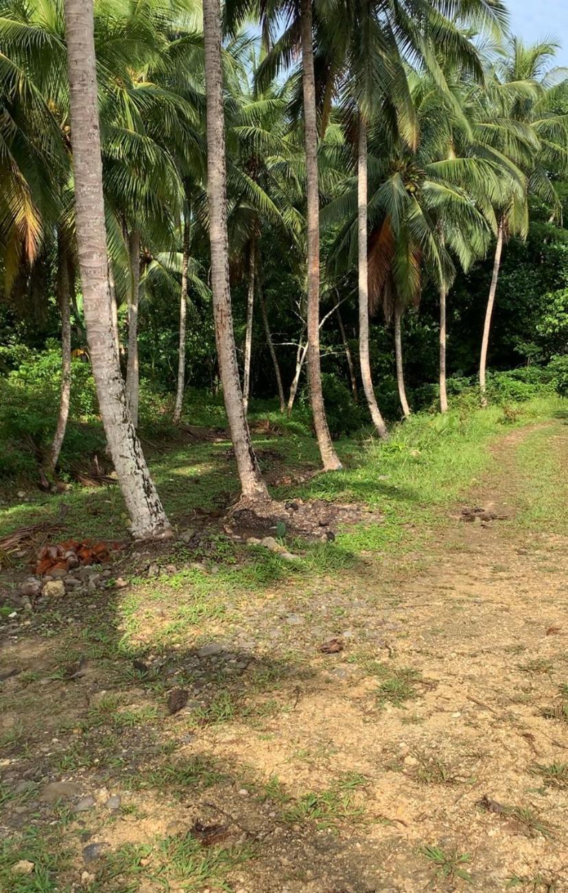 Photo 20