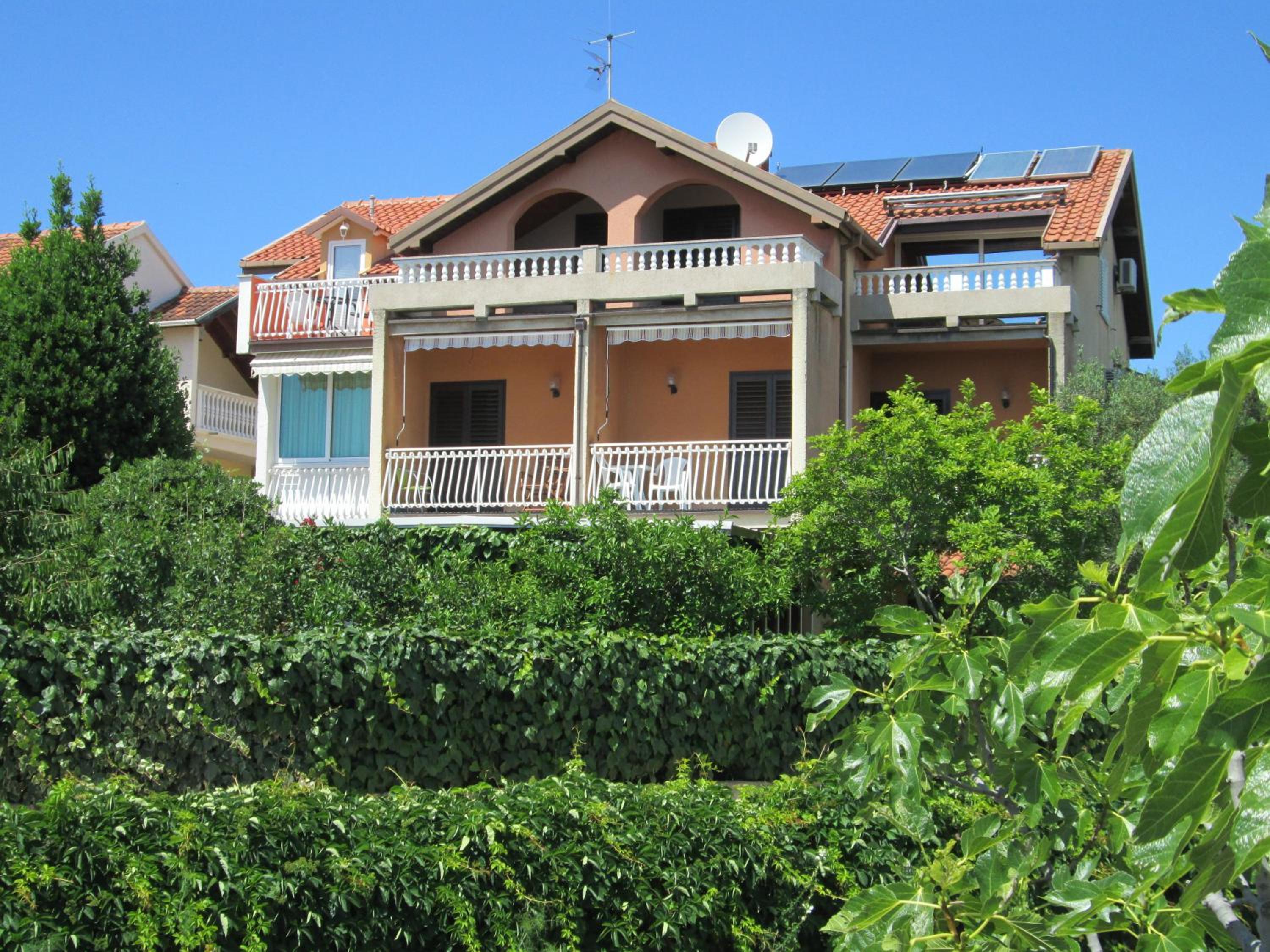 Photo 45