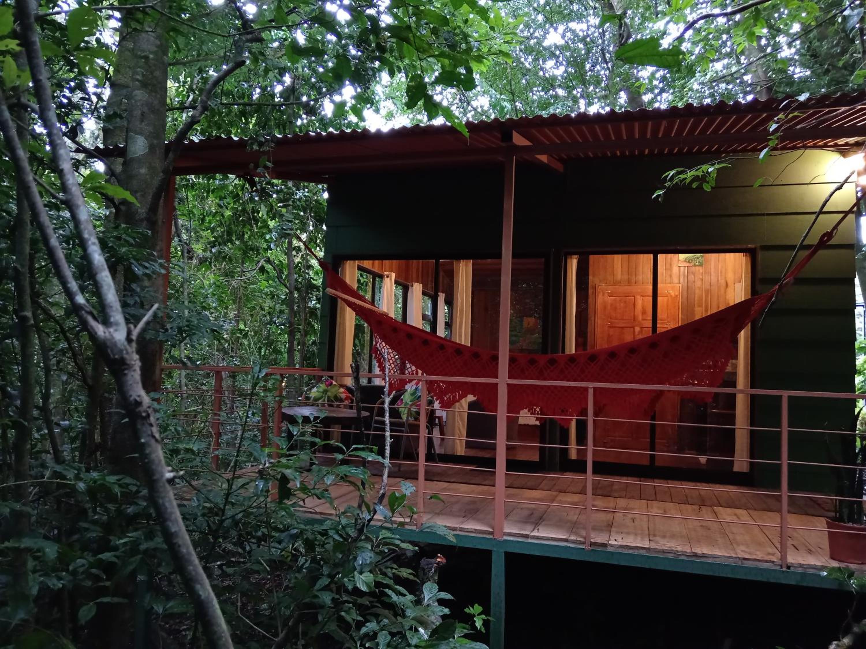 Jungle Living Tree Houses