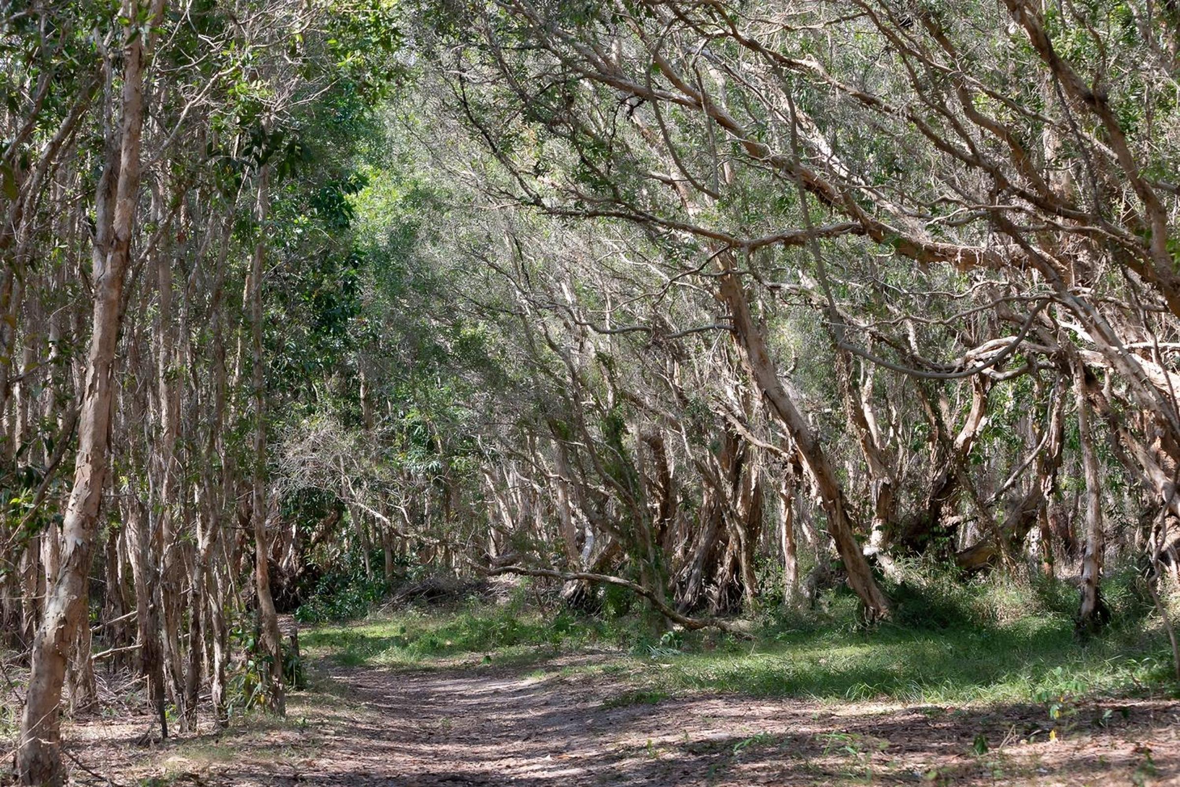 Photo 48