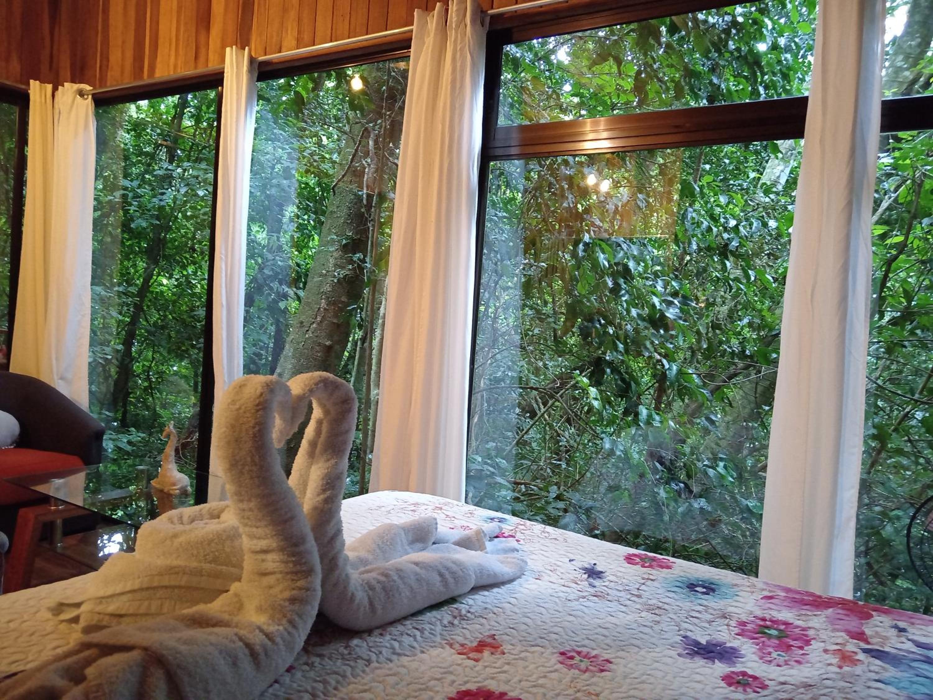 Jungle Living Tree Houses
