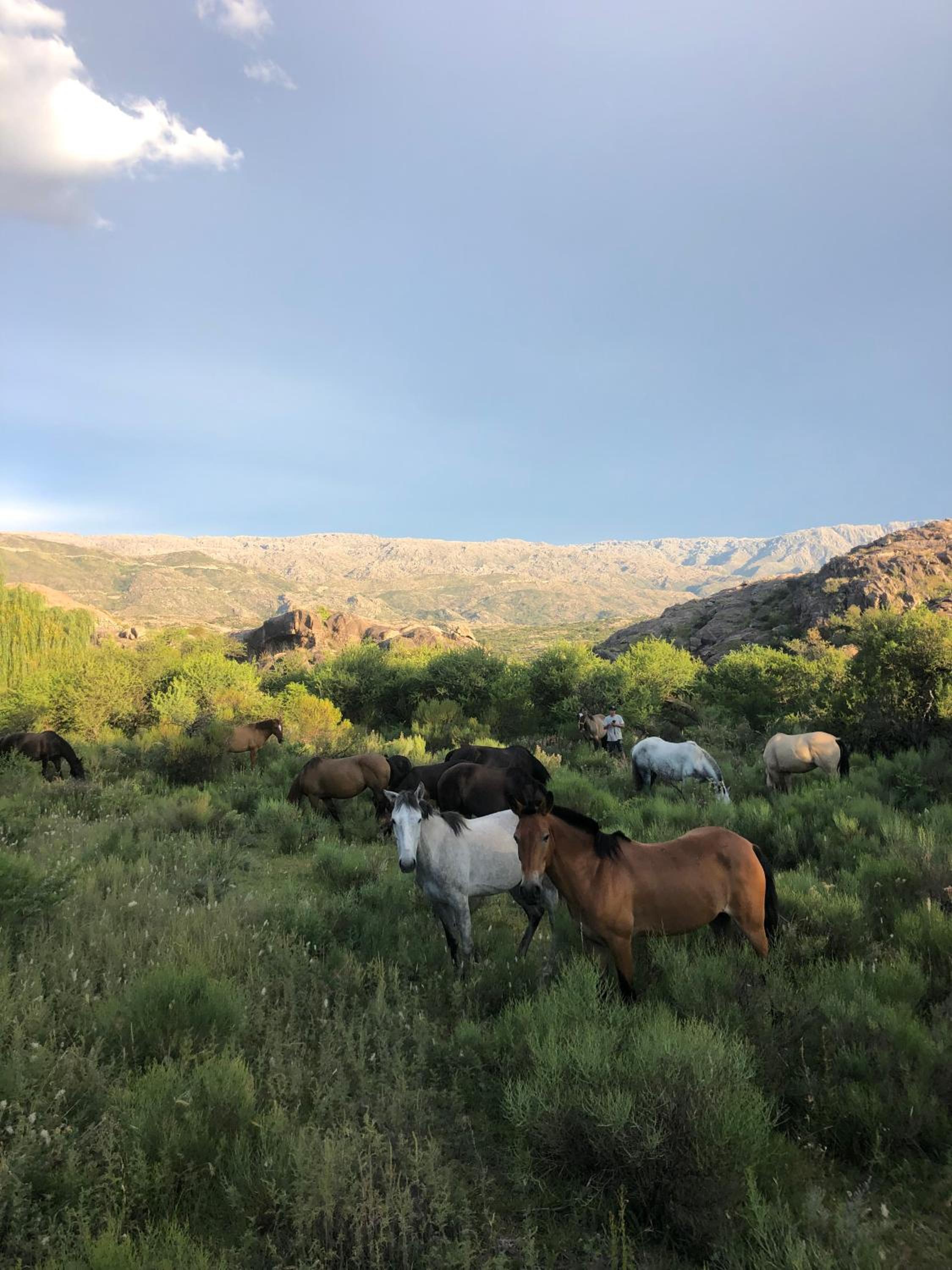 Hermosa Cabaña El Nogalito Mina Clavero