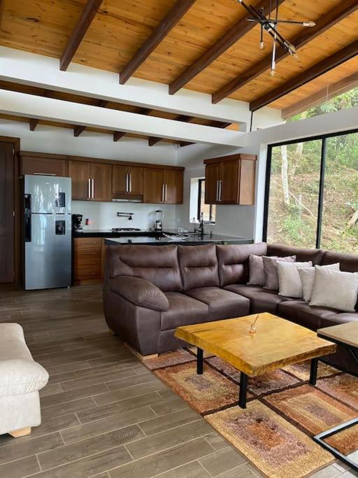 Zen Oasis del Bosque, second floor!