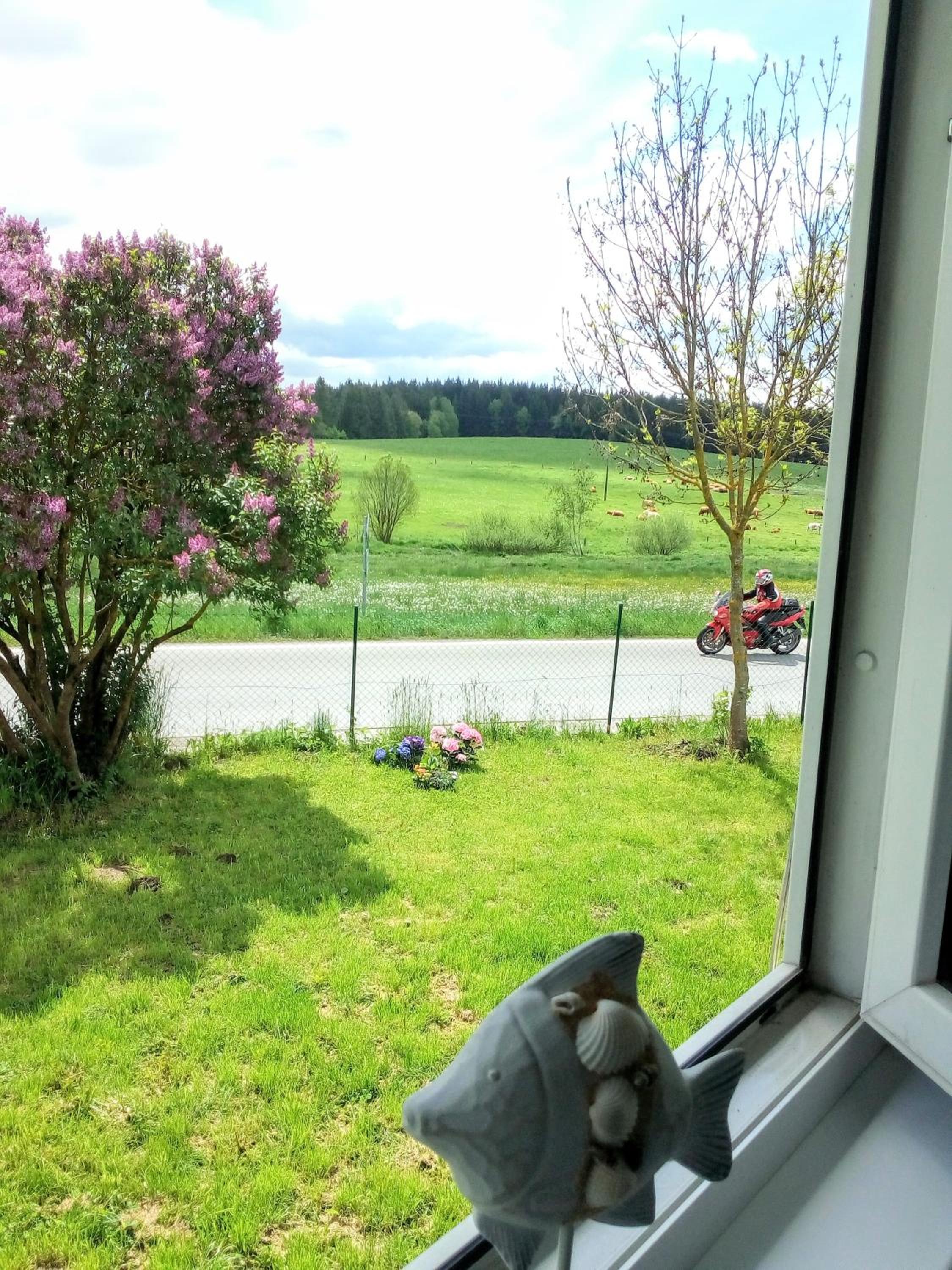 Apartman u Lipna, pro cyklisty, motorkare