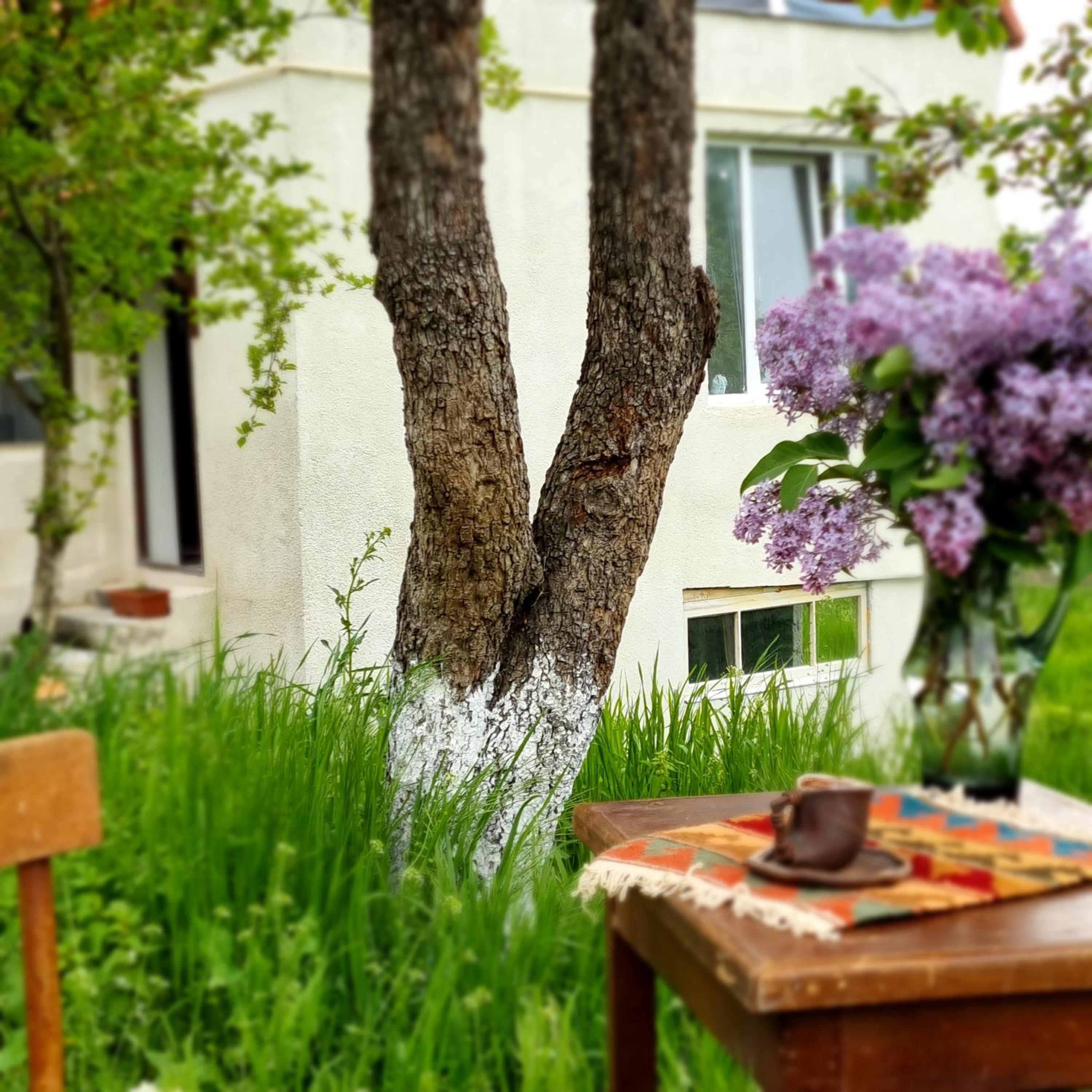 Hooni_guesthouse