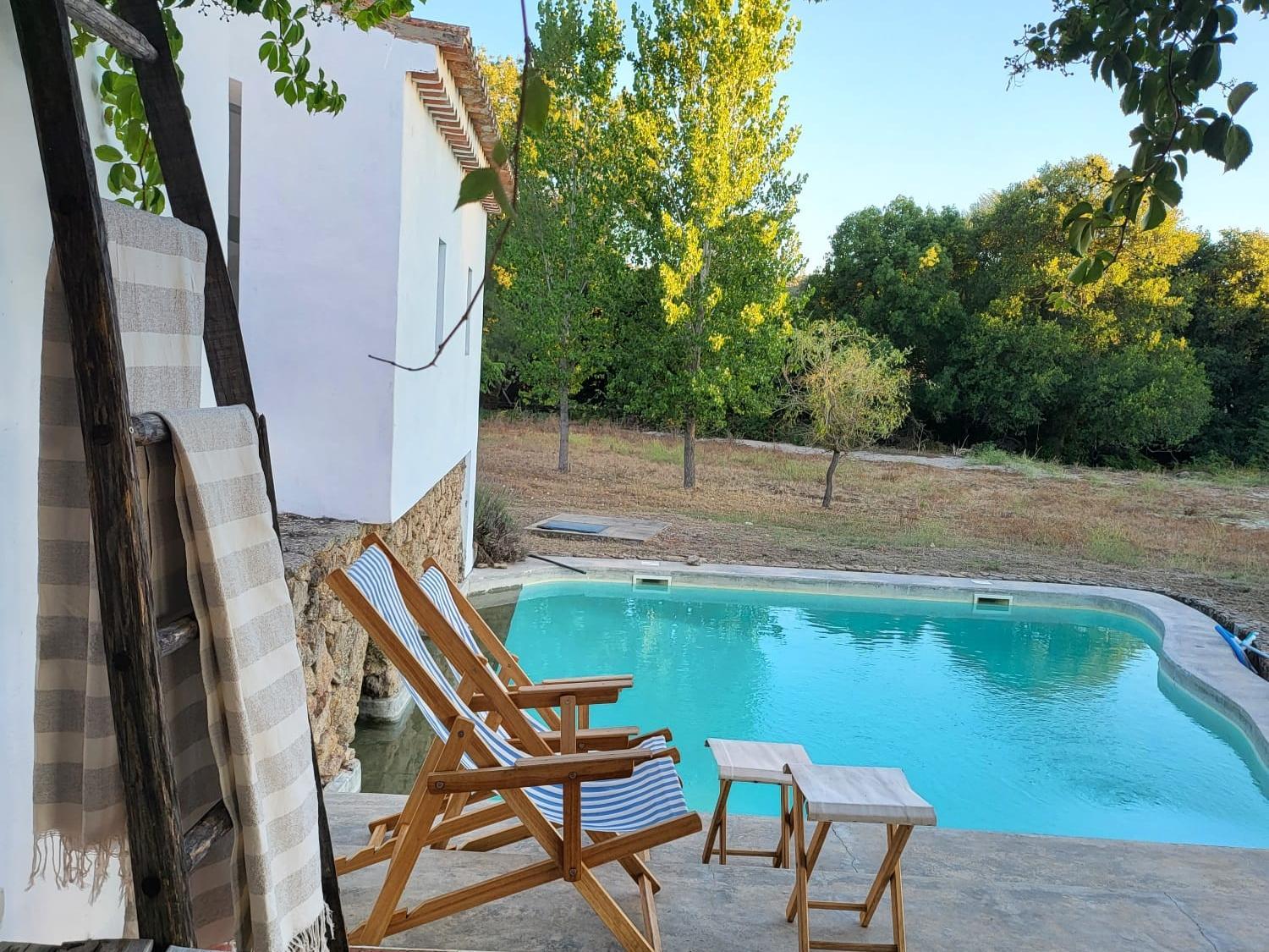 THE OLIVE PRESS - Alentejo view 2