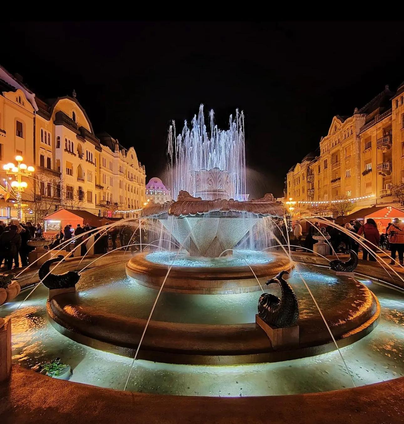 Premium Timisoara