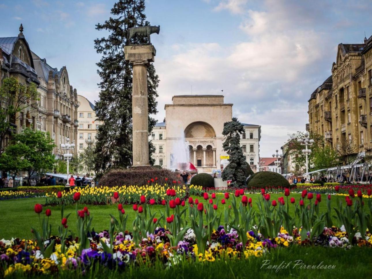 Premium Timisoara
