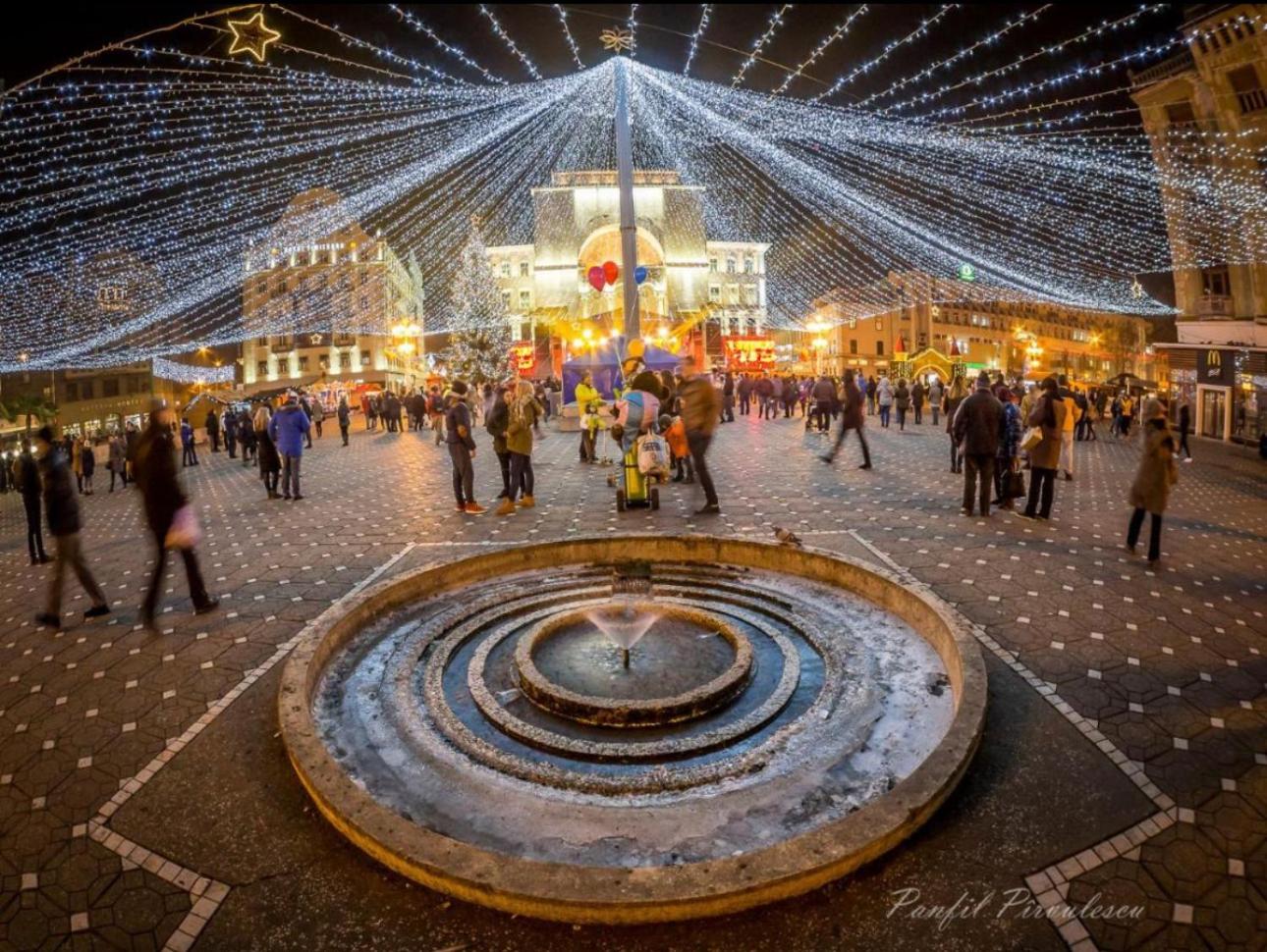 Premium Timisoara