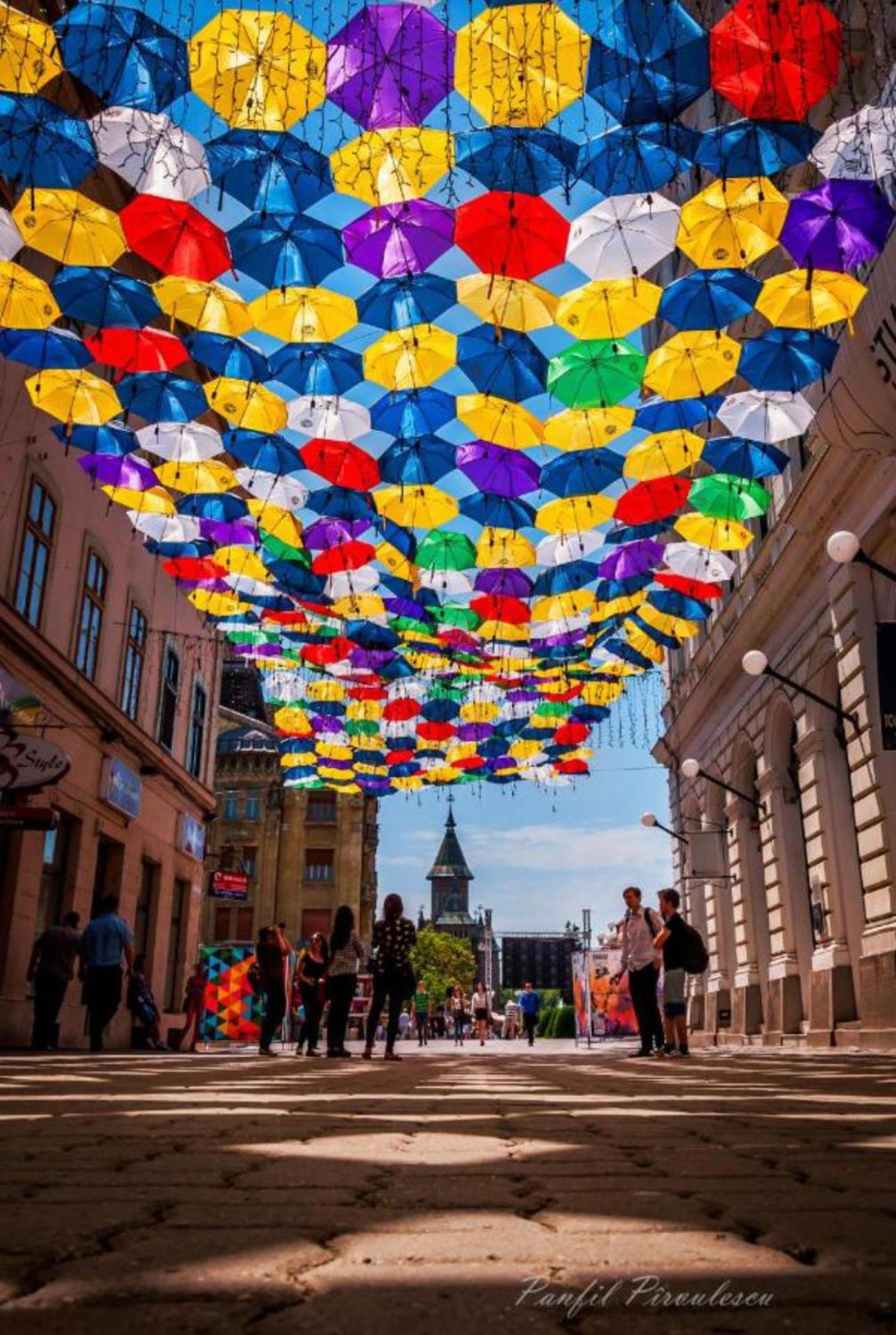 Premium Timisoara