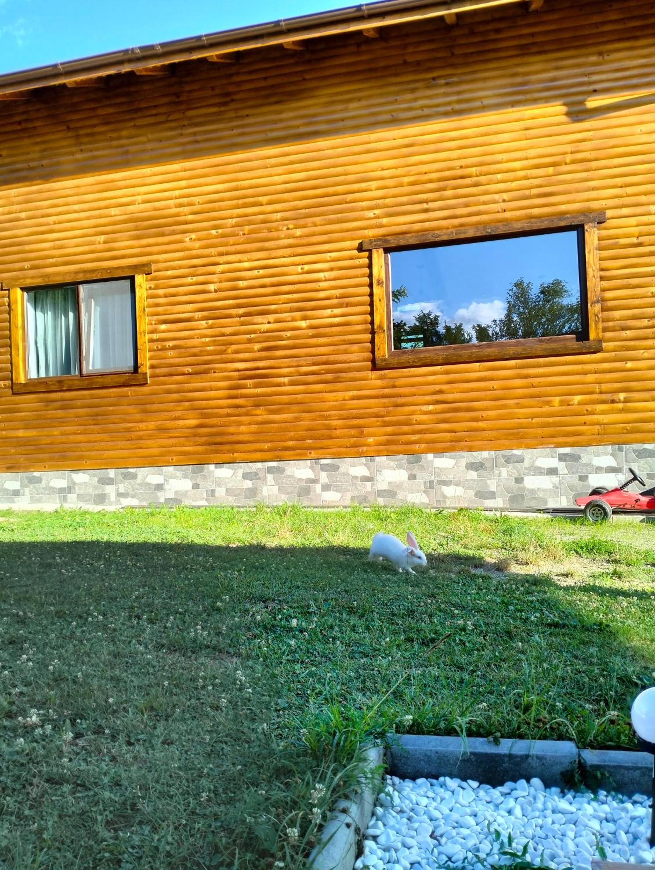 Photo 33
