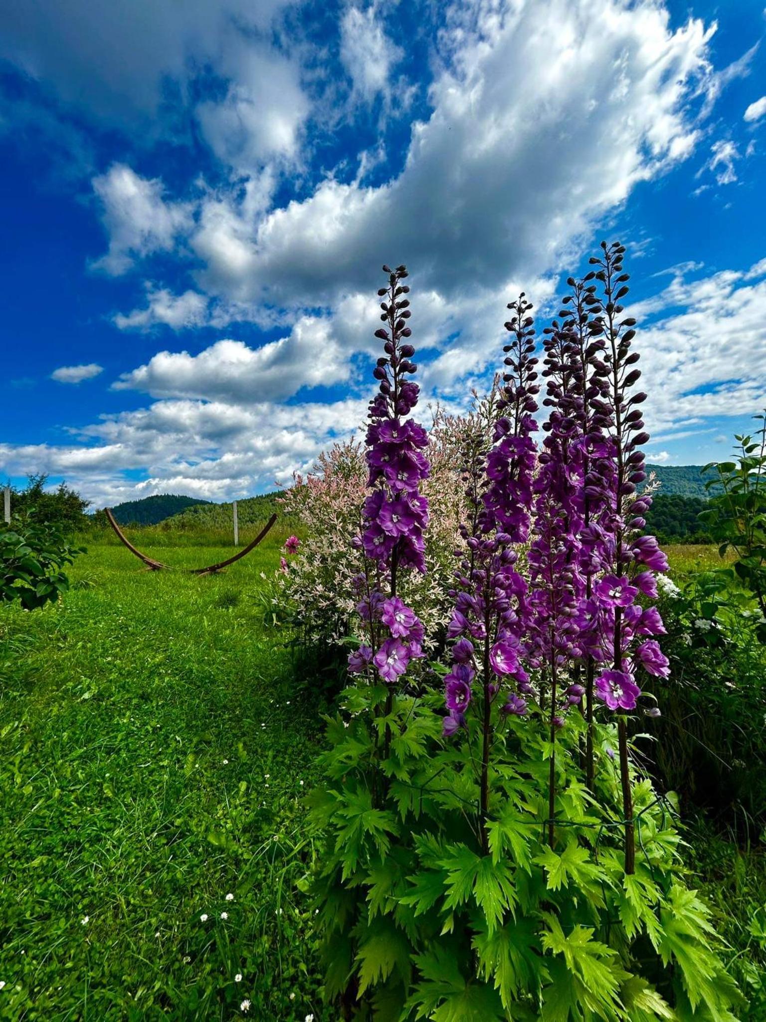 Photo 40