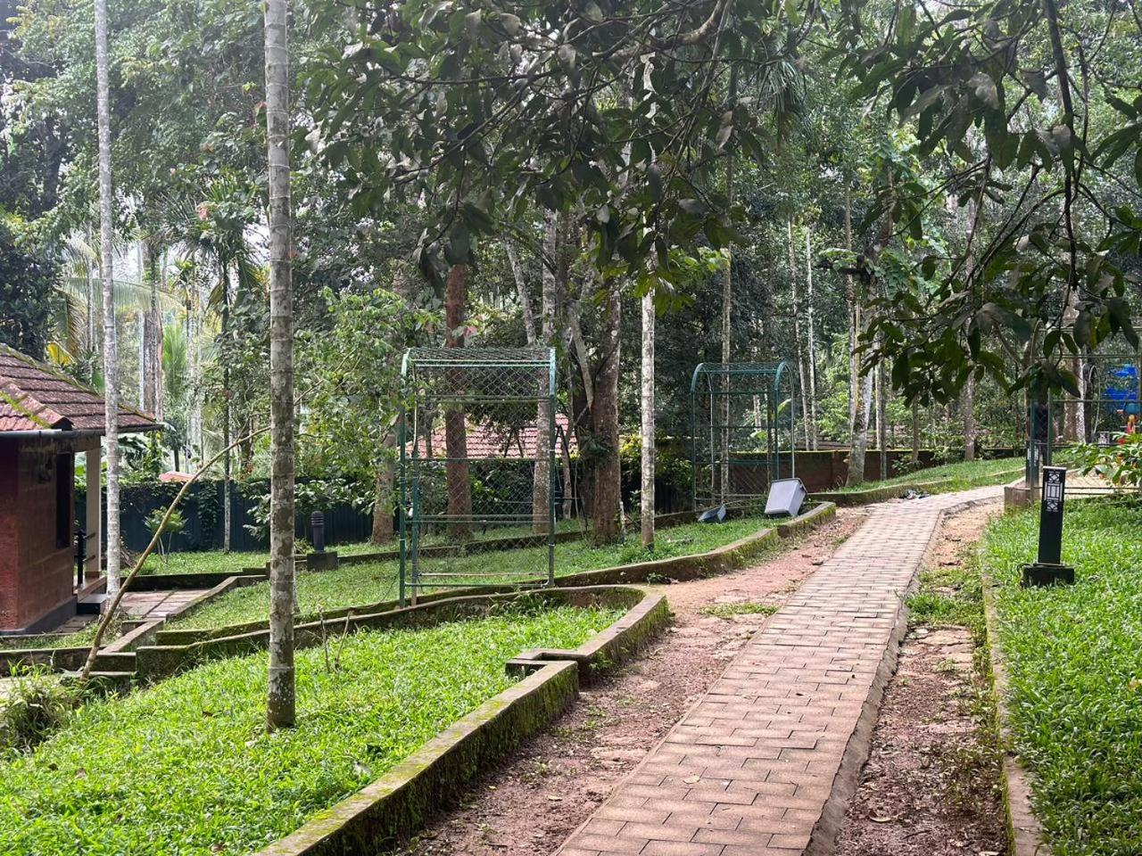 Memmsta Hotels - Jungle Resort Wayanad view 5