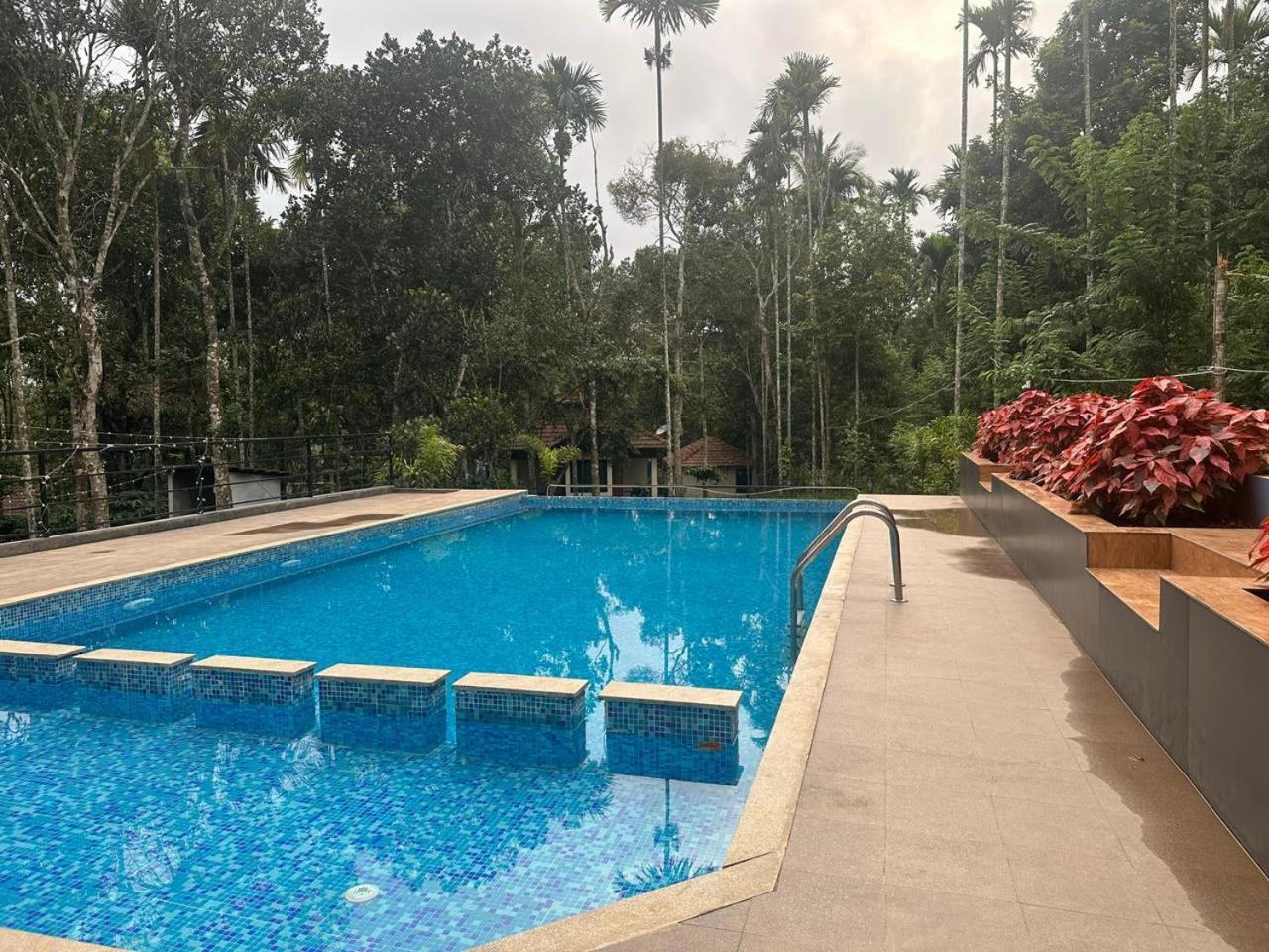 Memmsta Hotels - Jungle Resort Wayanad view 2