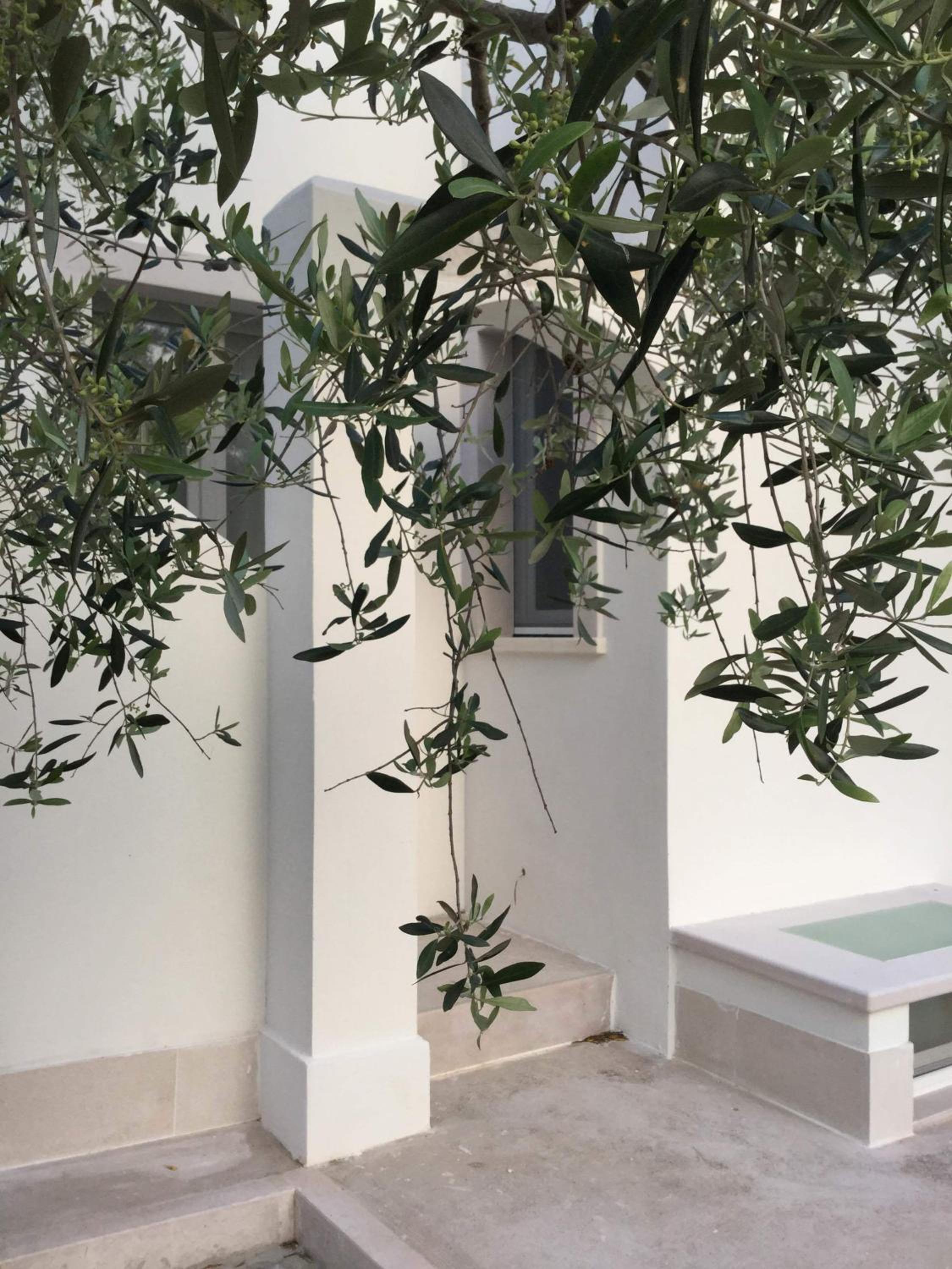 B&B Sperlonga, photo 56