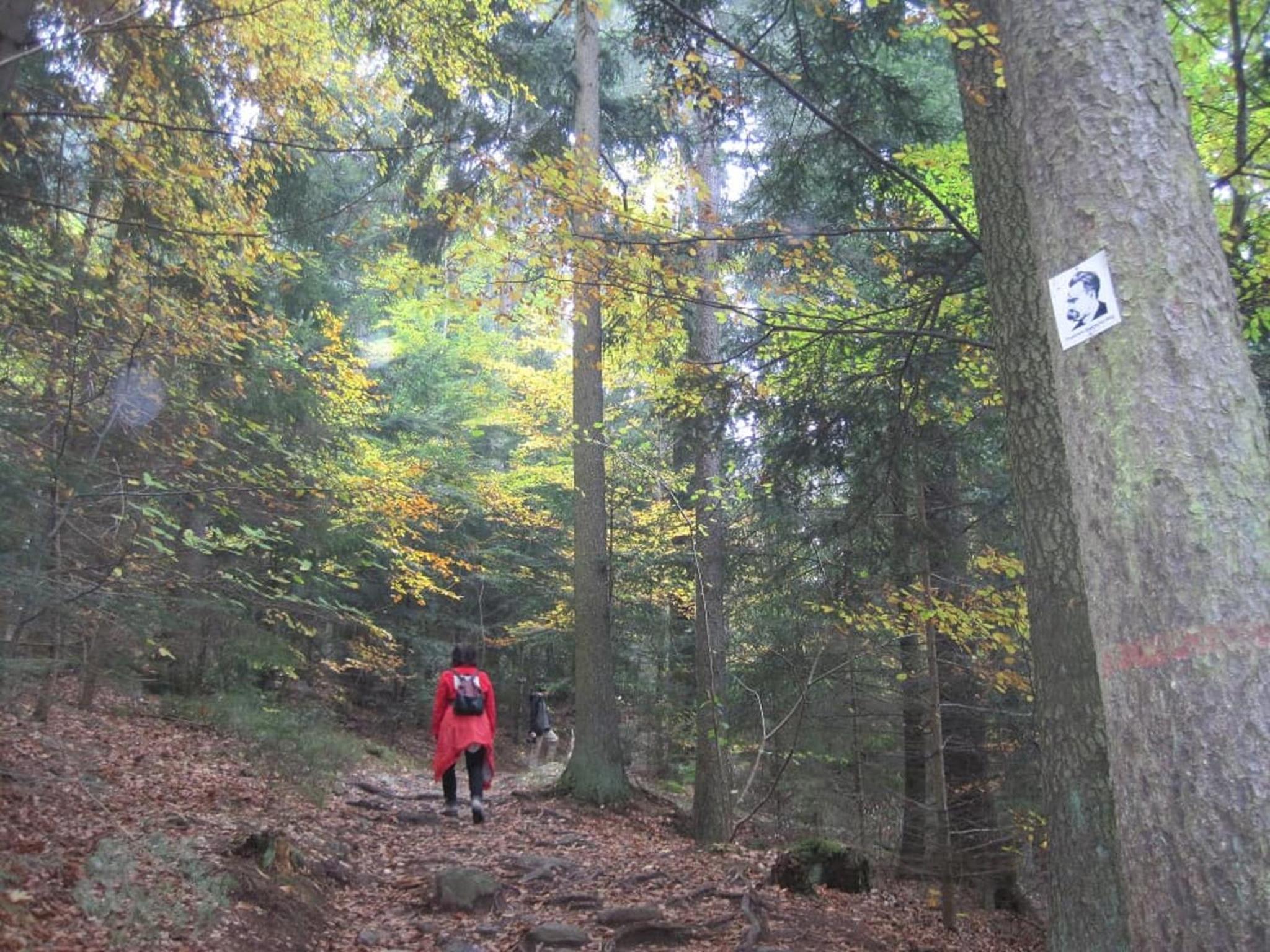 Gschwandnerhof