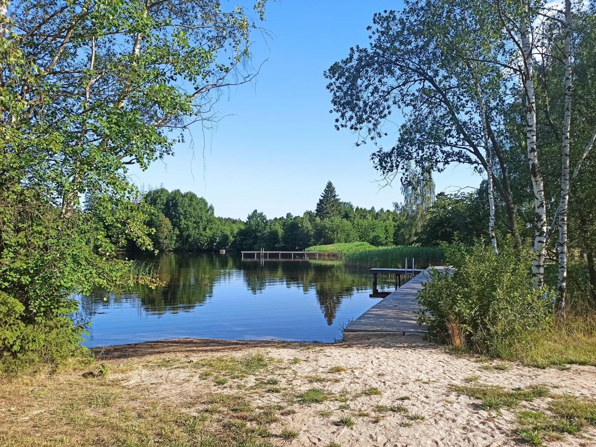 Na samotě u lesa