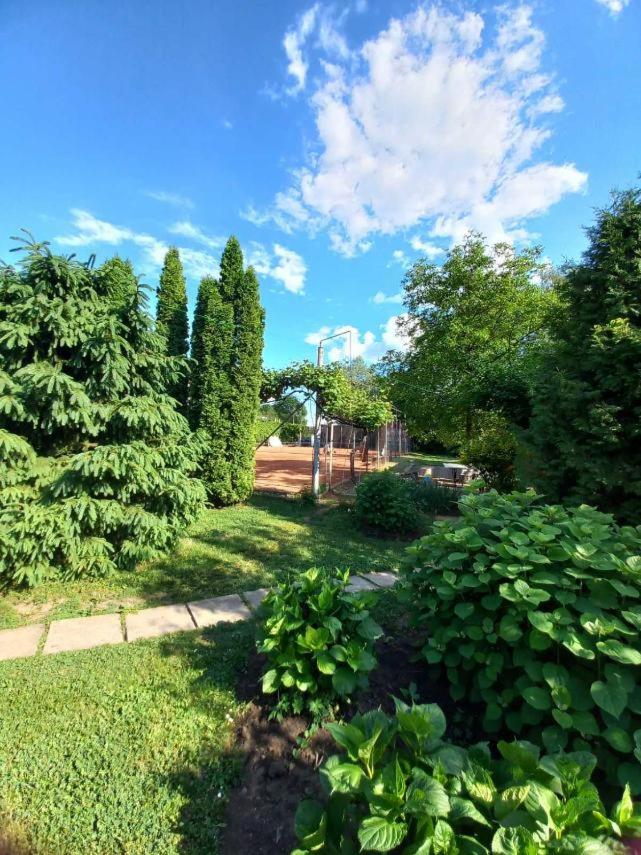 Photo 20