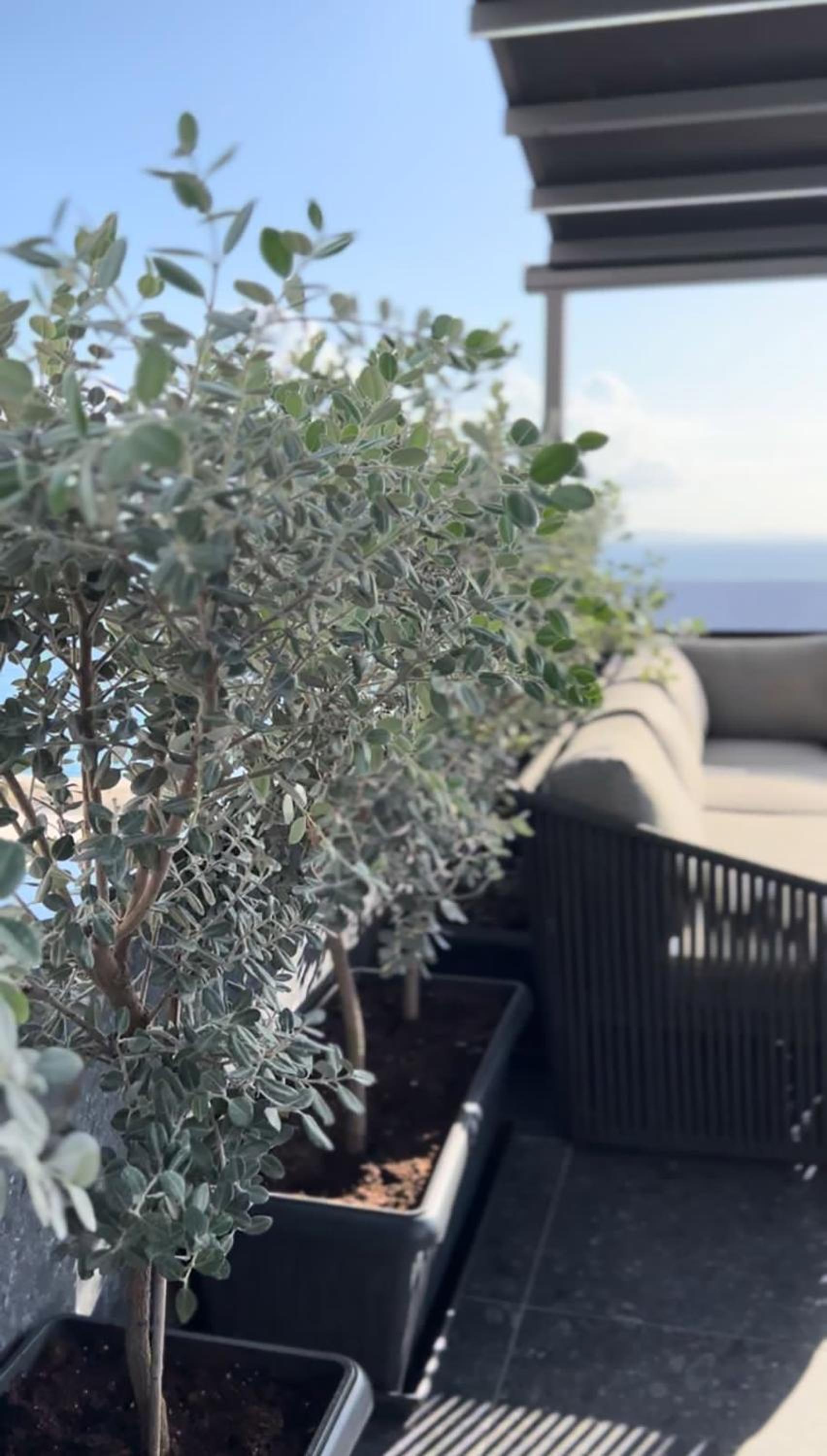 Ansel Home