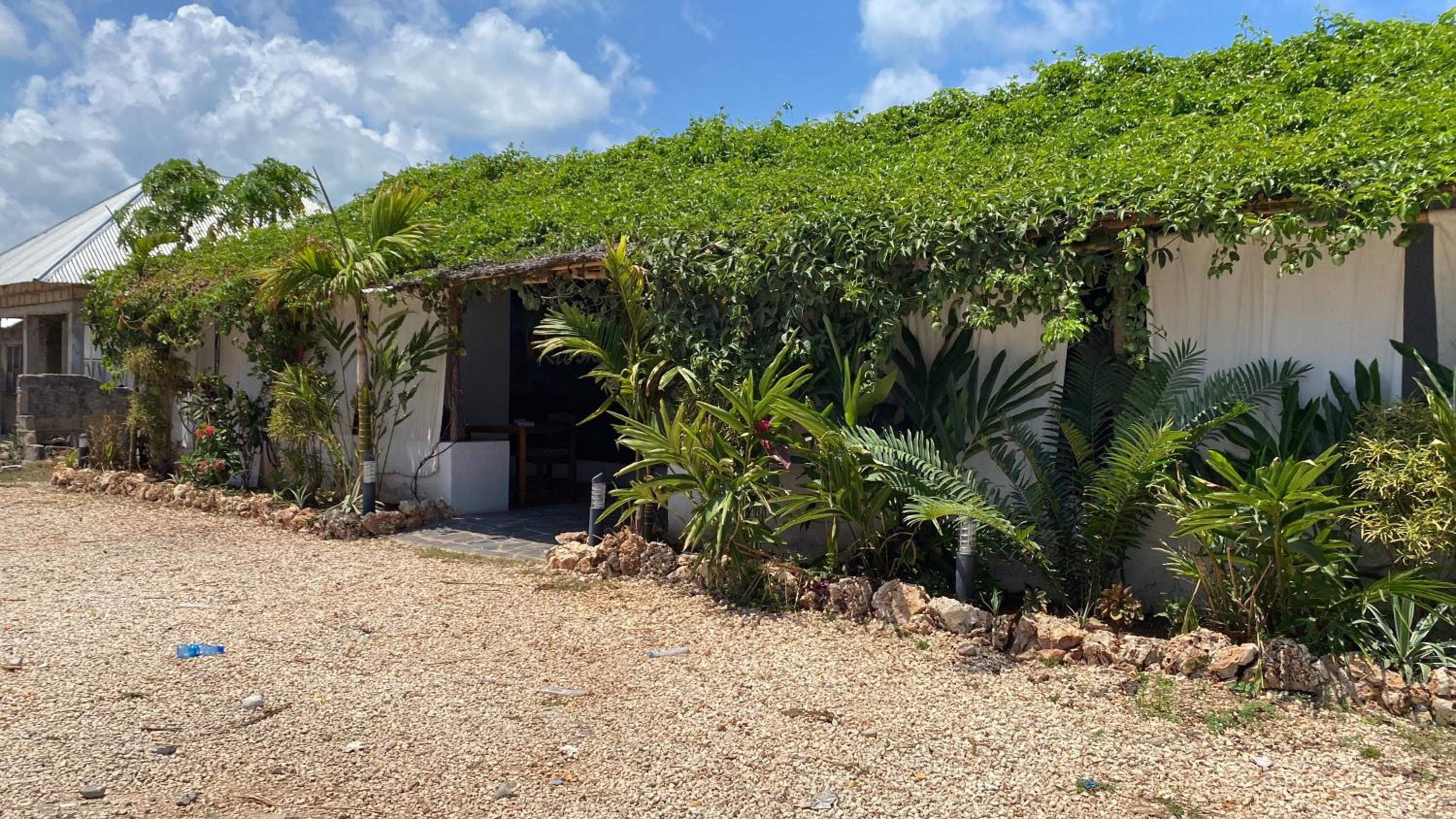 Cactus lodge Zanzibar