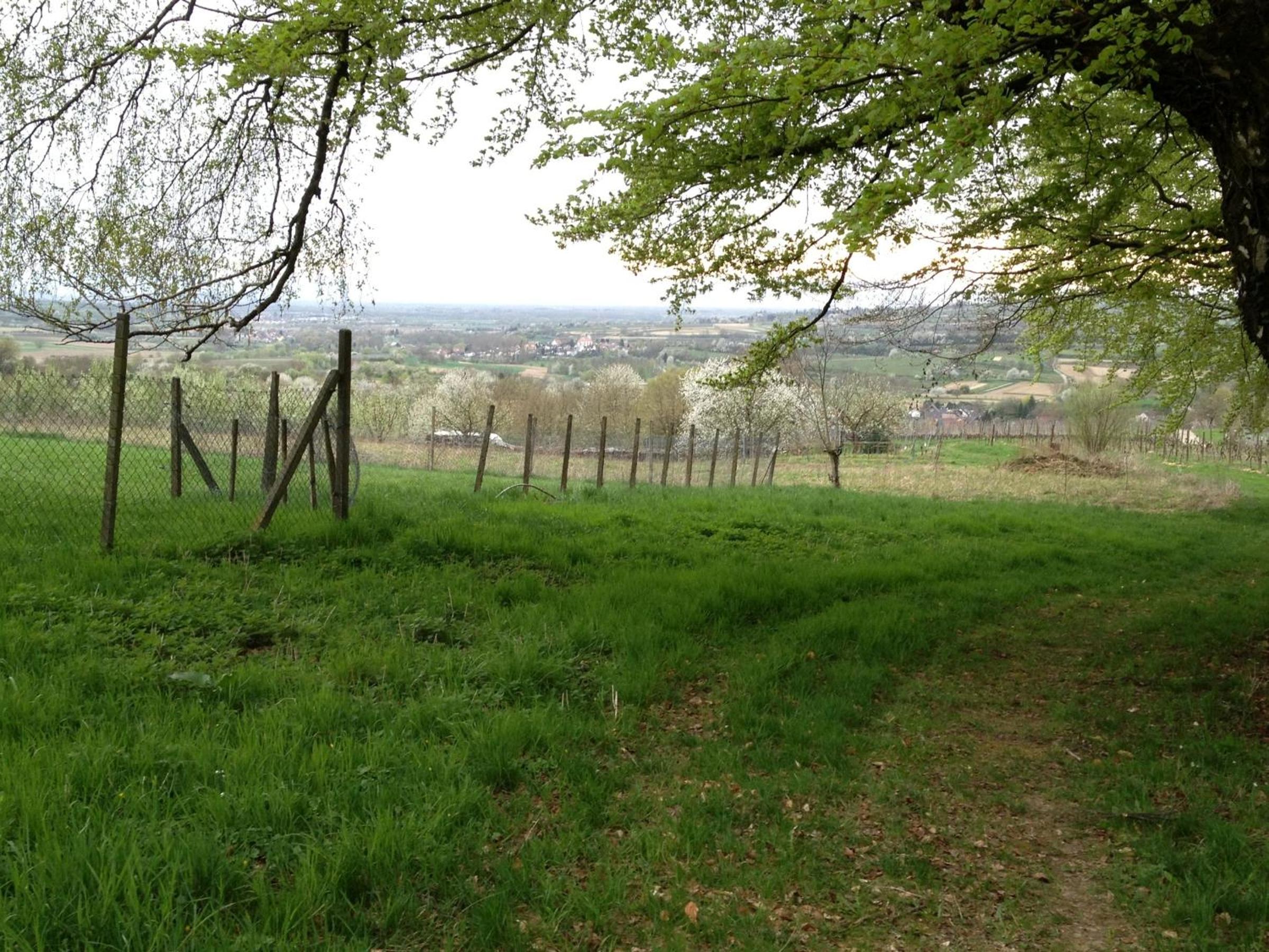 Rosenhof Broggingen